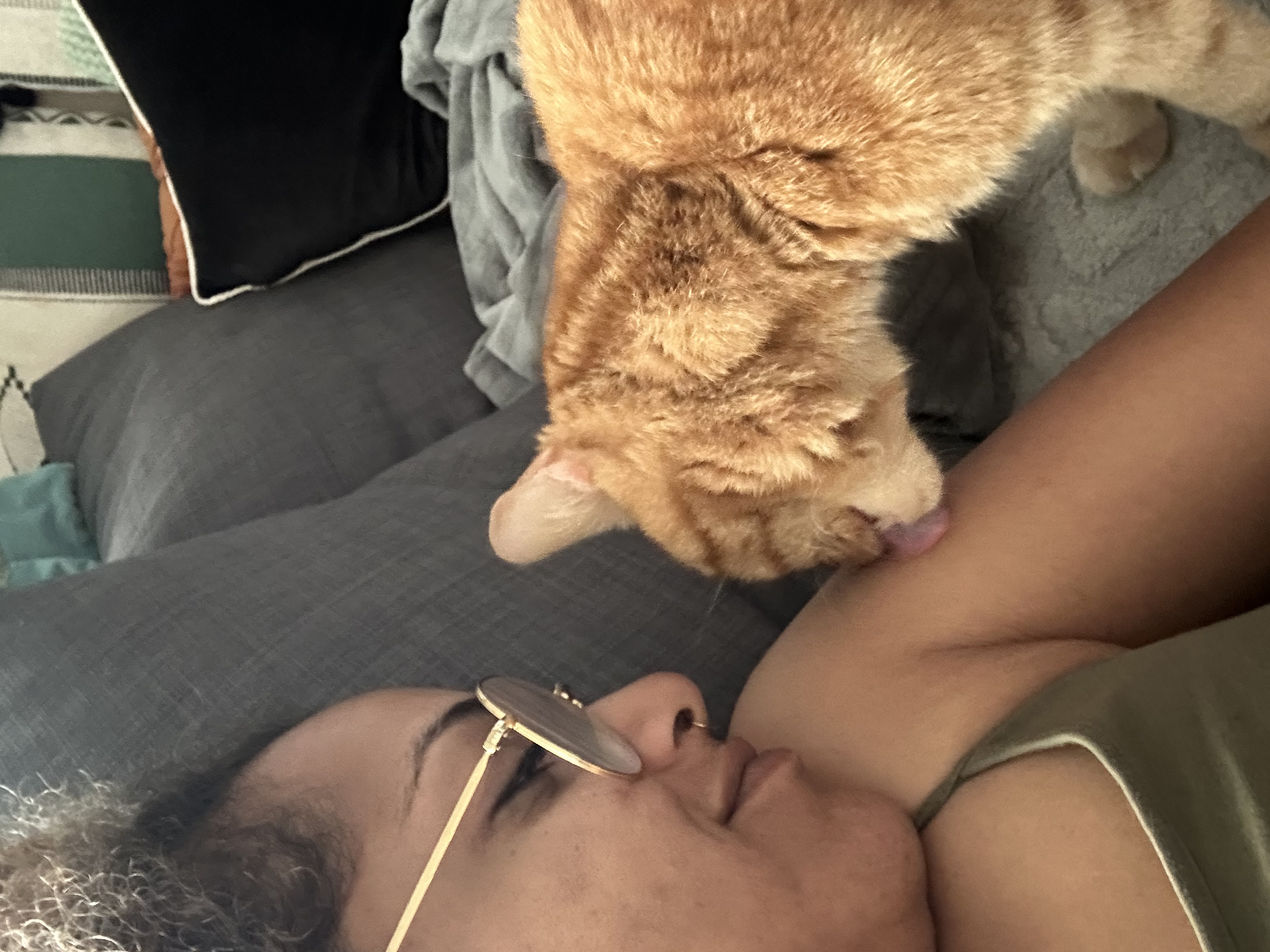 image-5