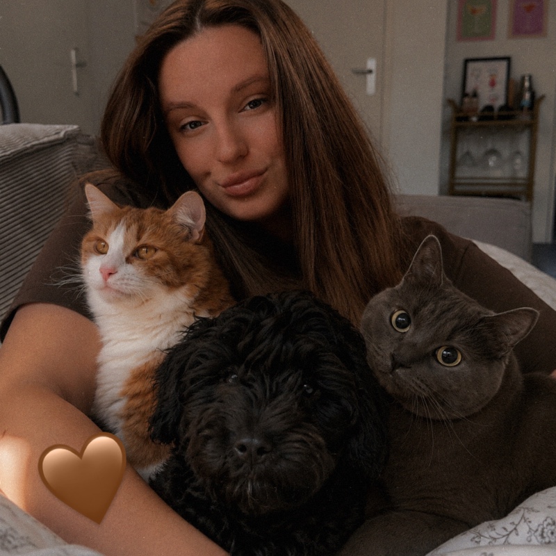 Merel