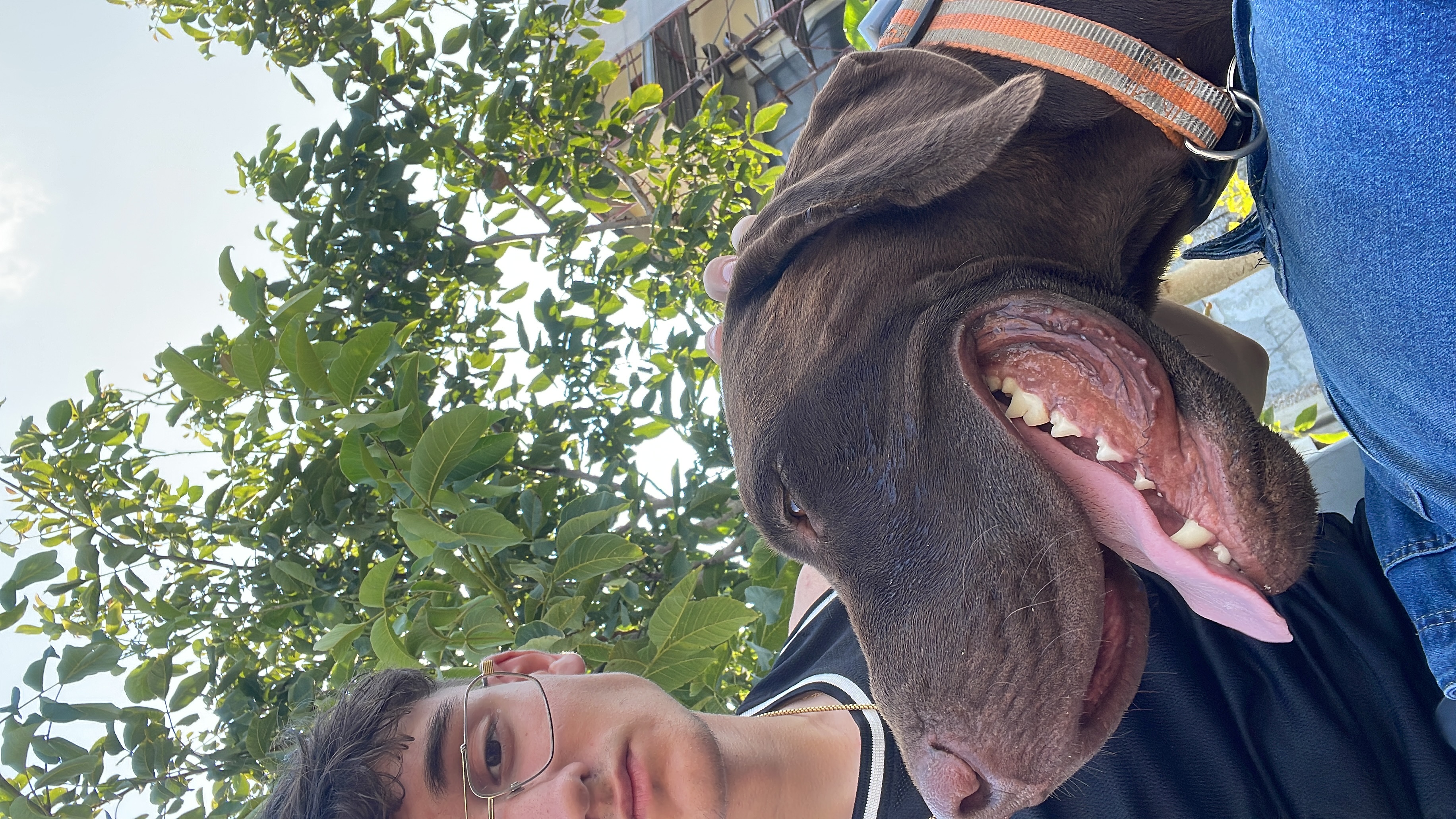 image-5