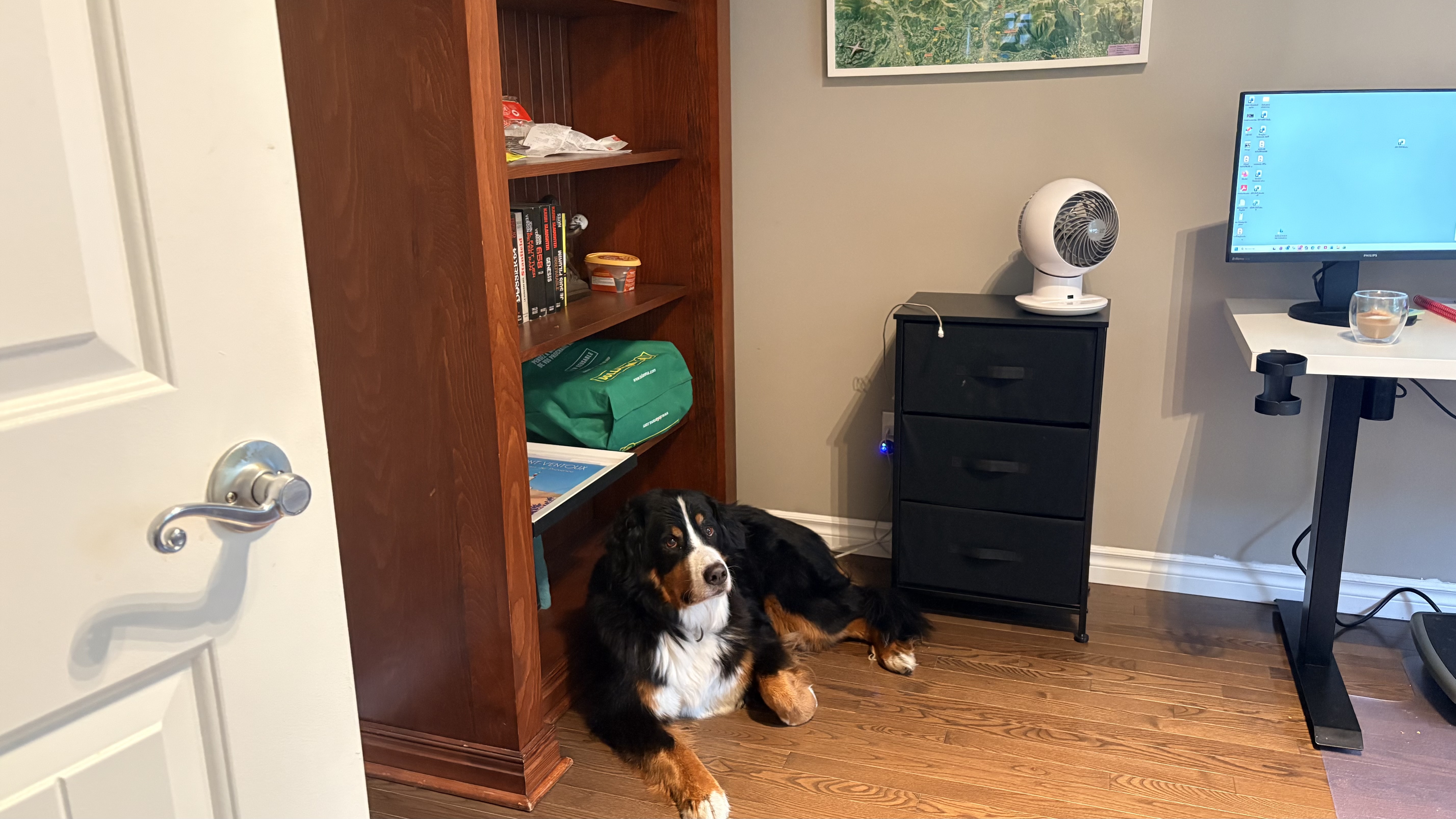 image-12