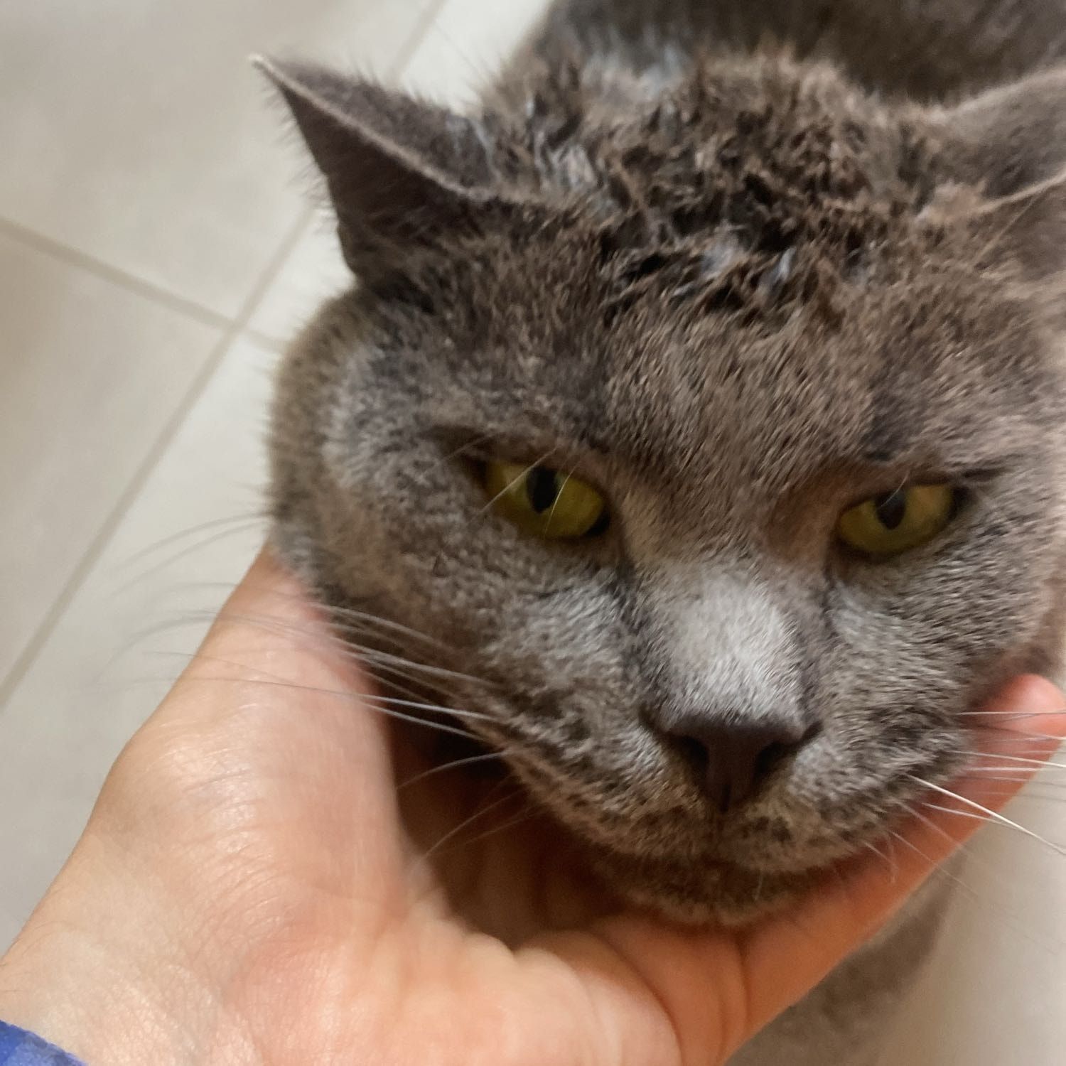 Max