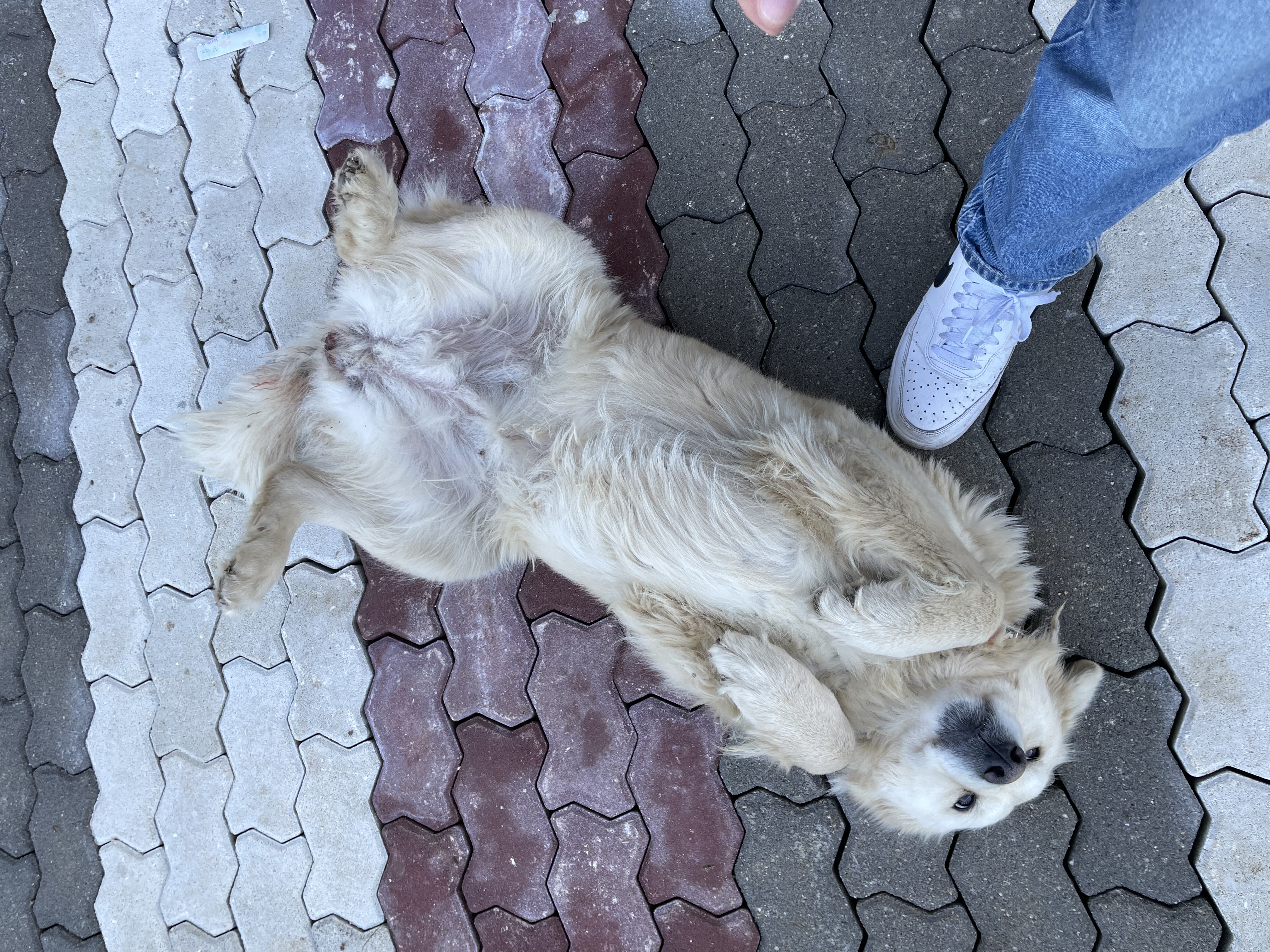 image-7