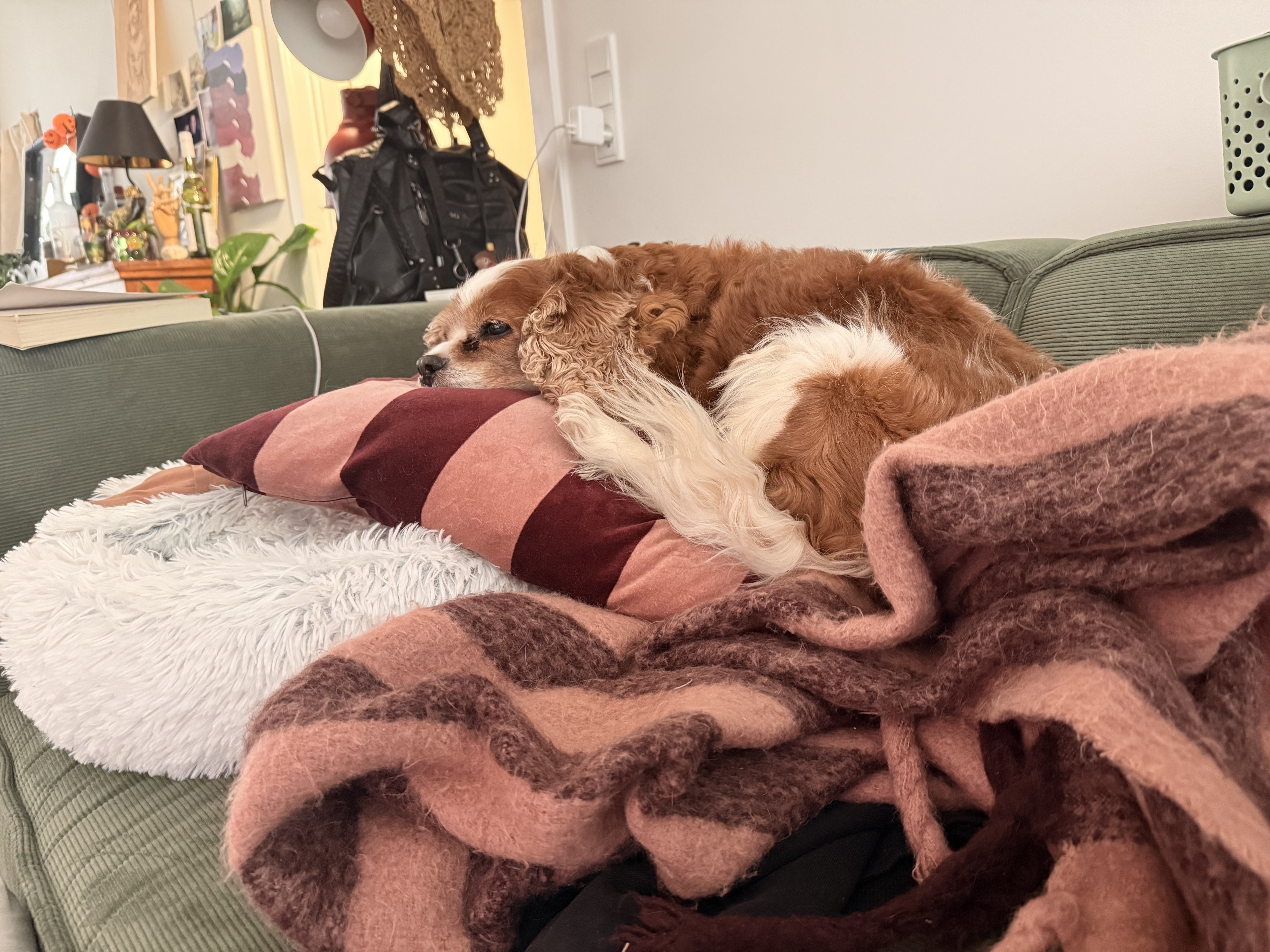 image-10