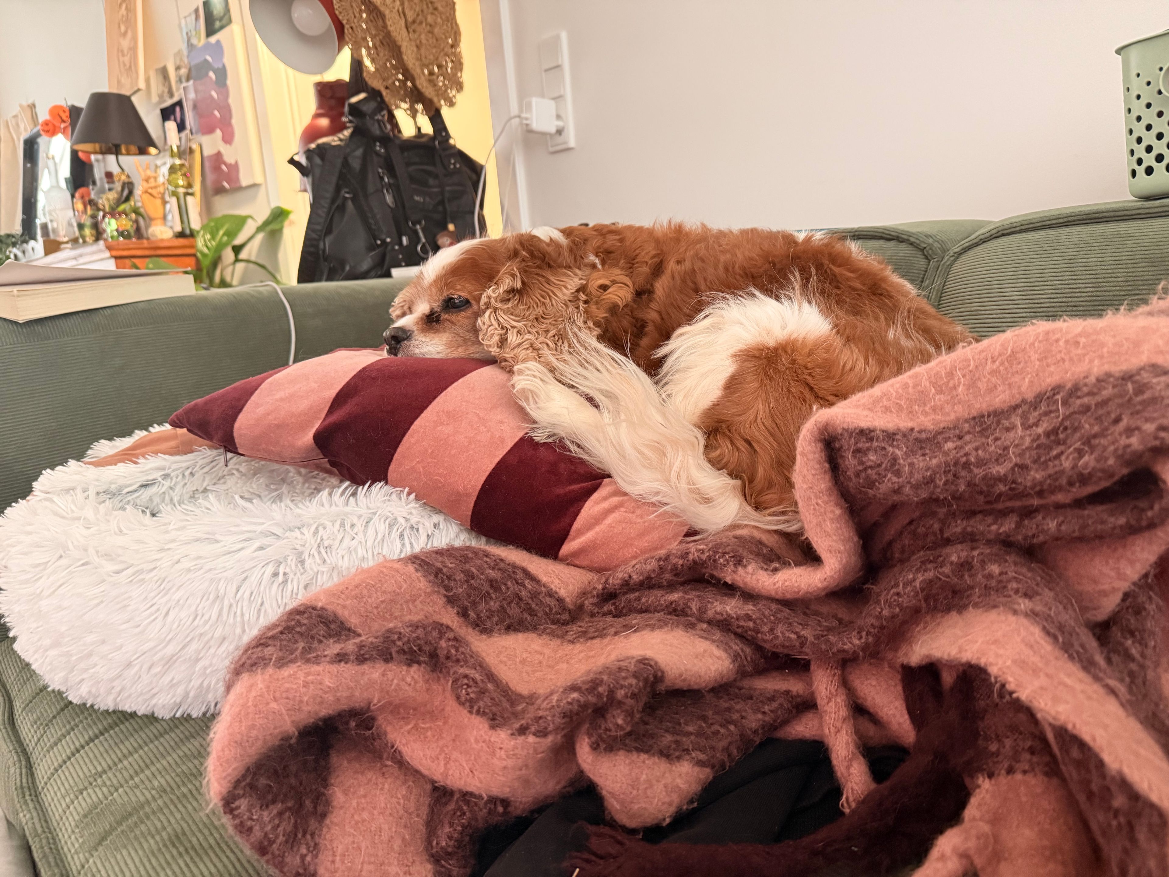 image-10