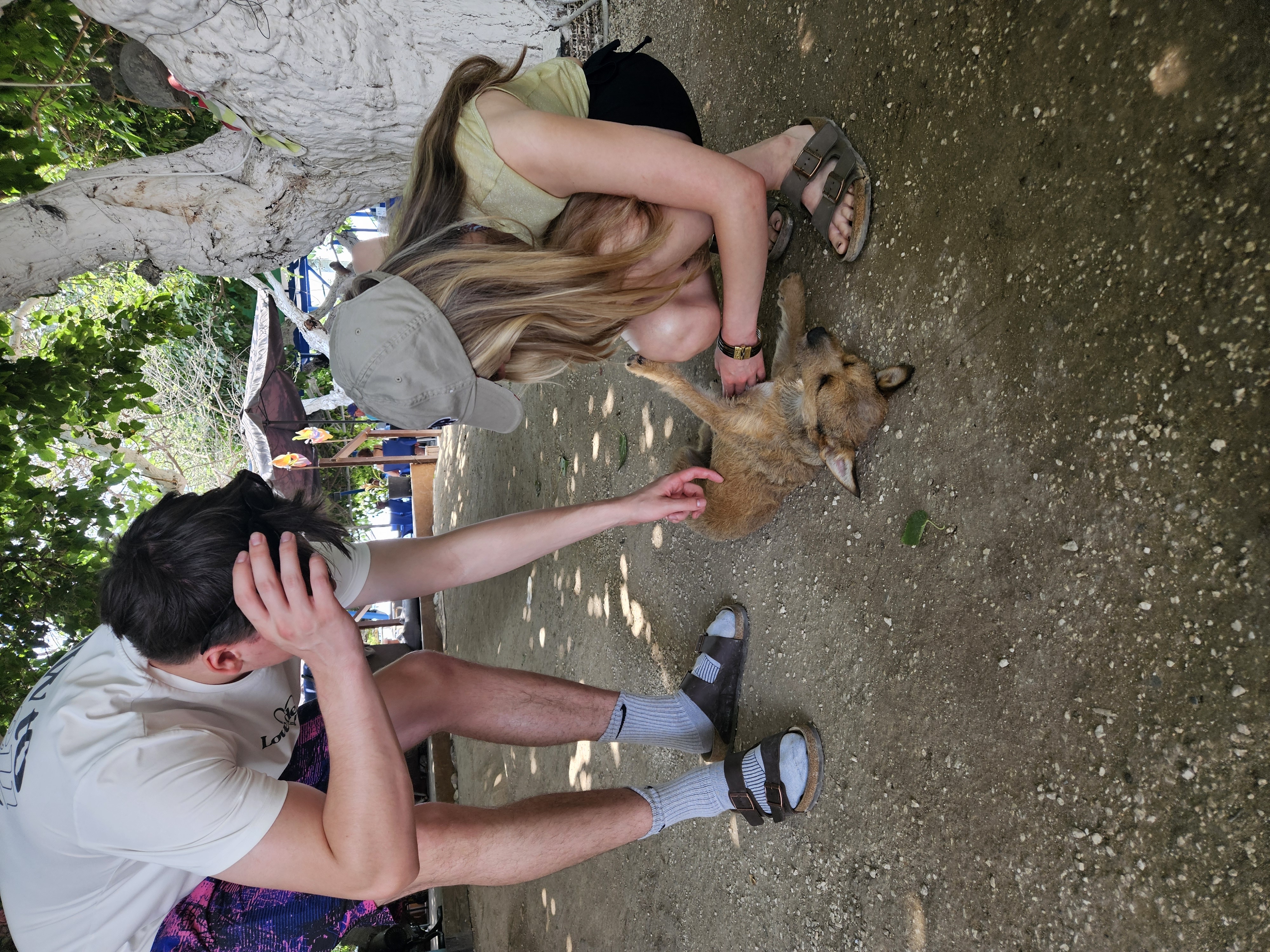 image-5