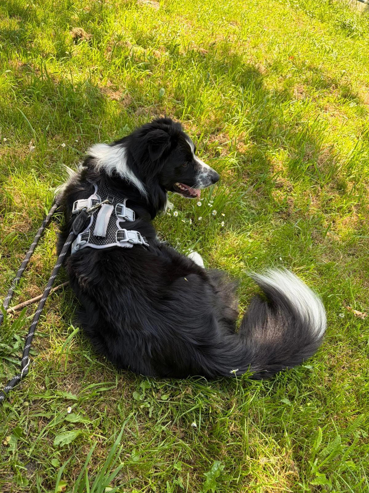 image-13