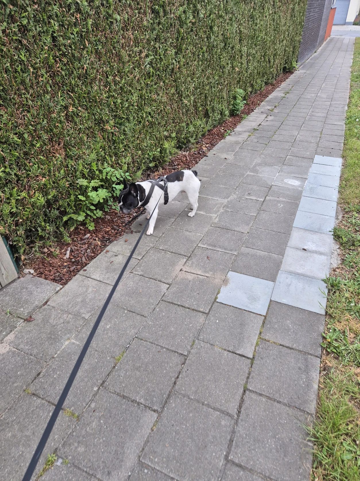 image-15