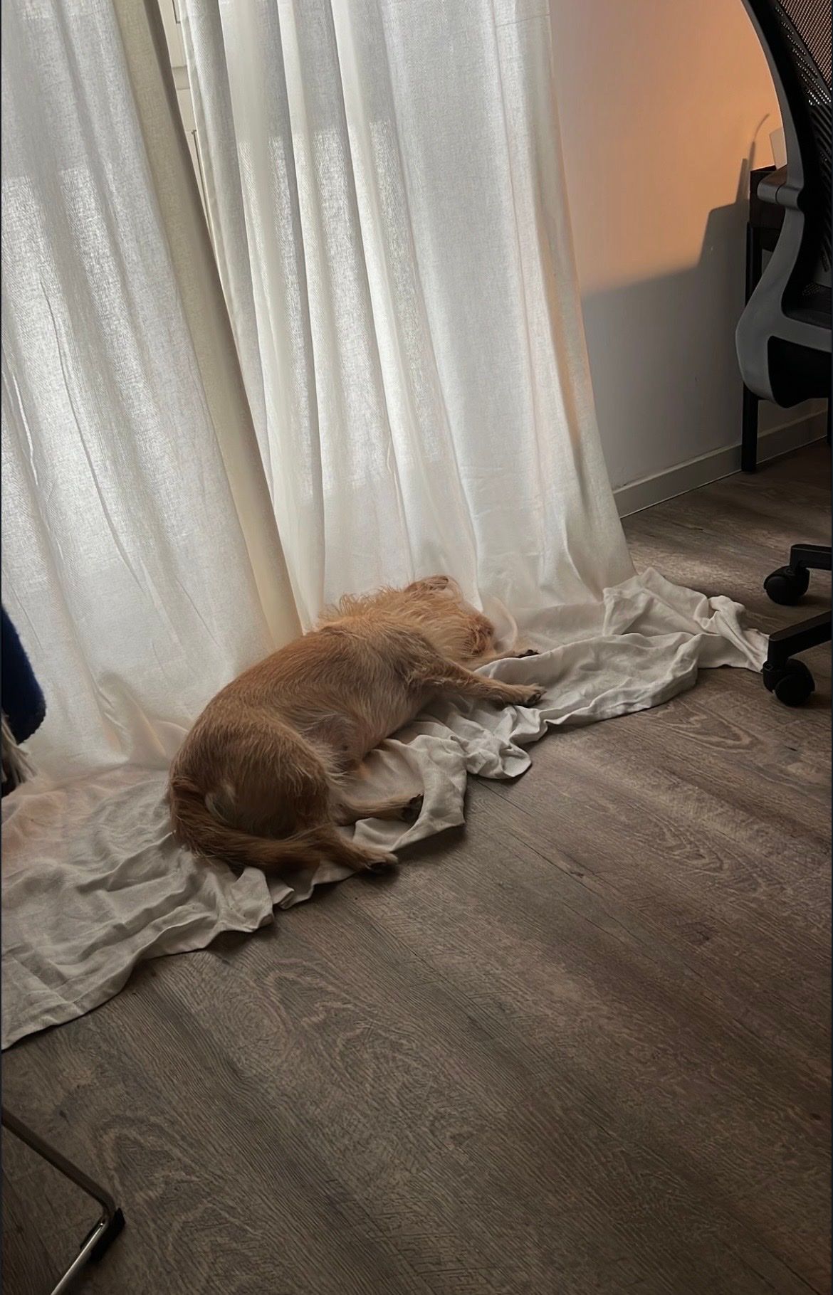 image-6