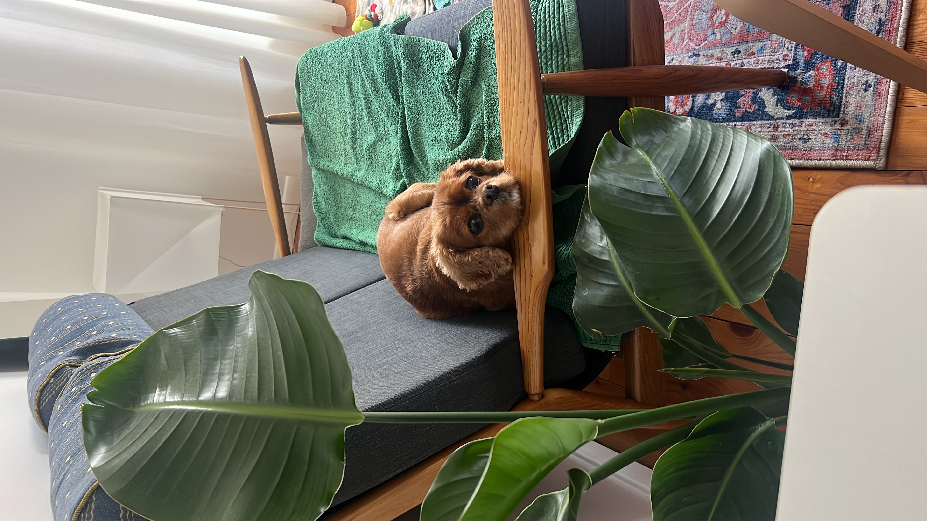 image-13