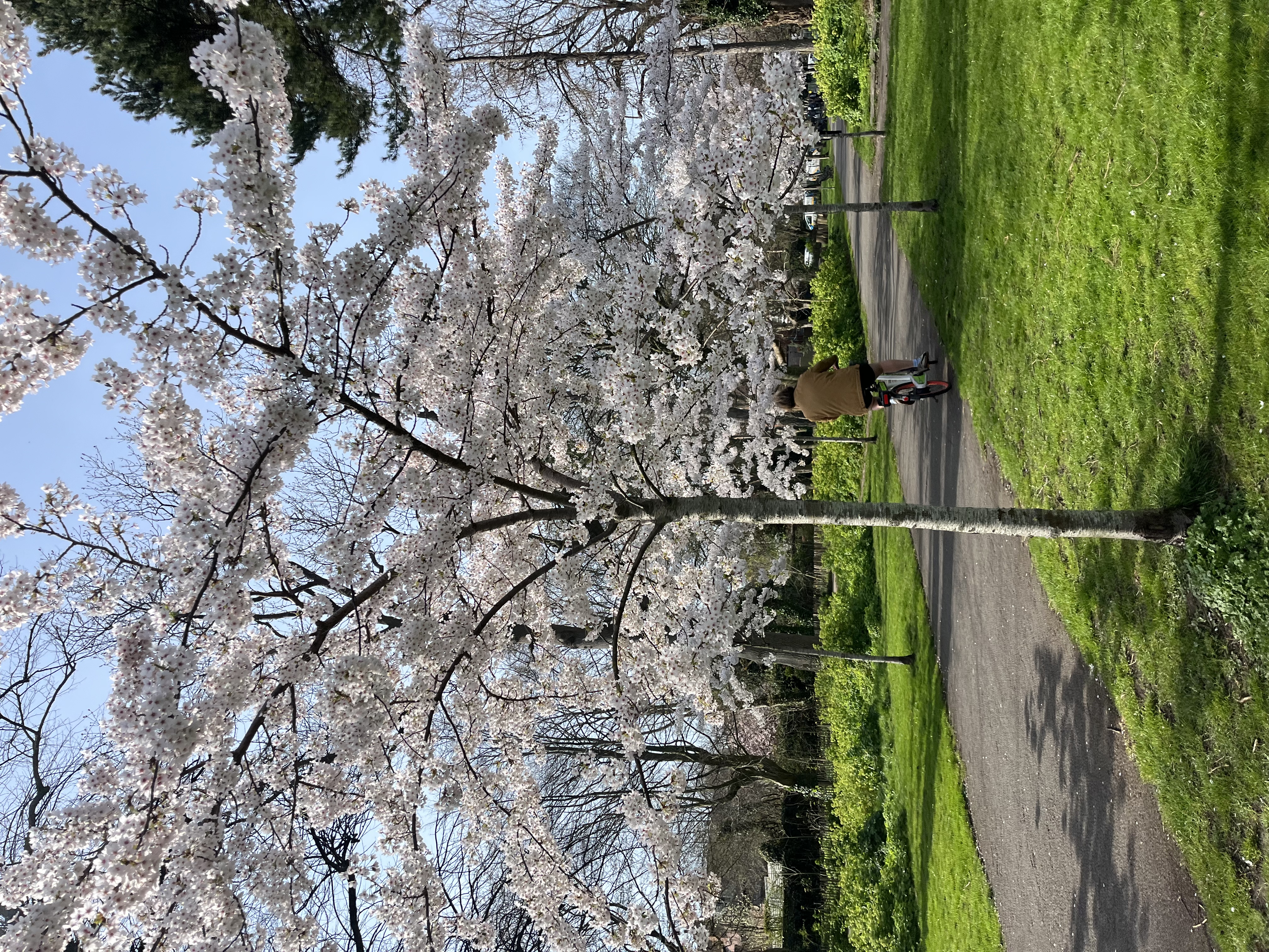 image-14