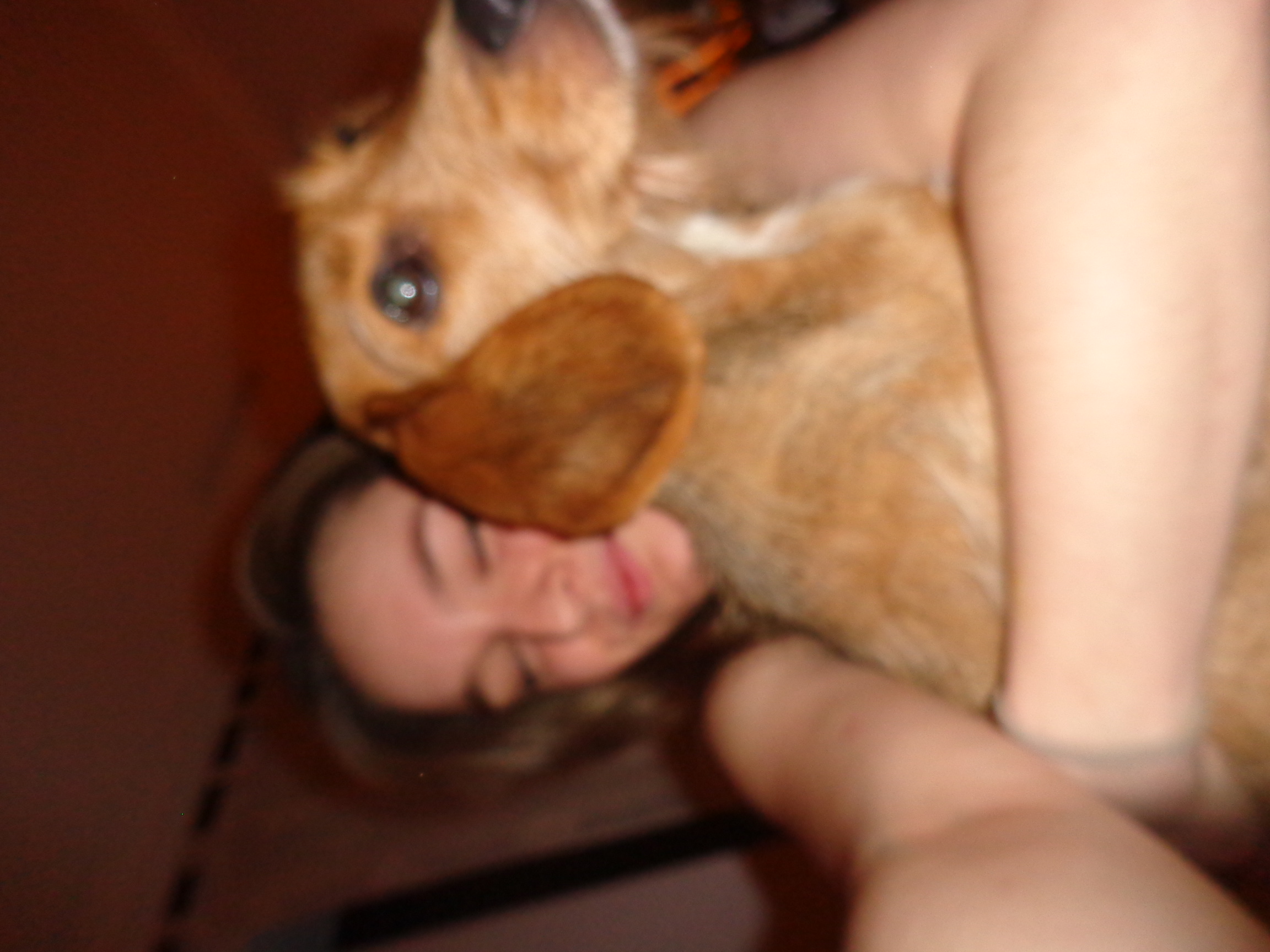 image-6