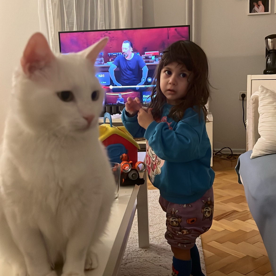 Pamuk