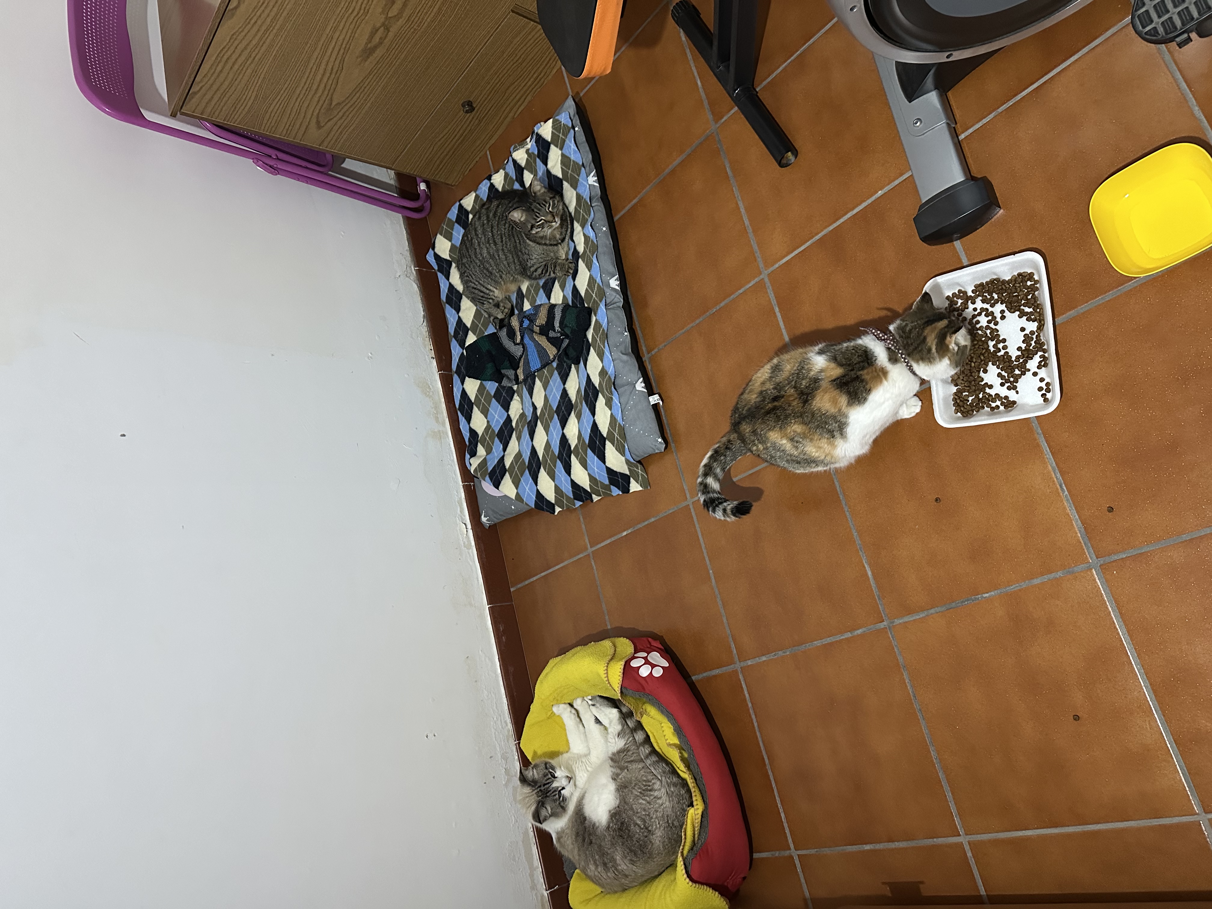 image-6