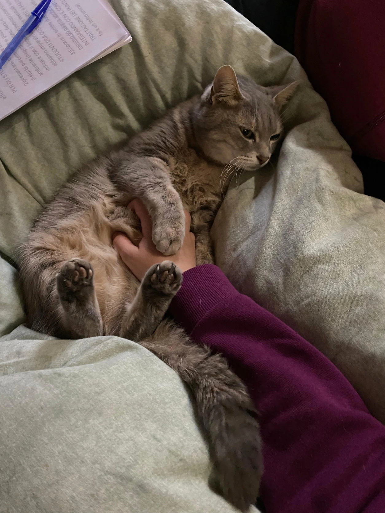 image-5