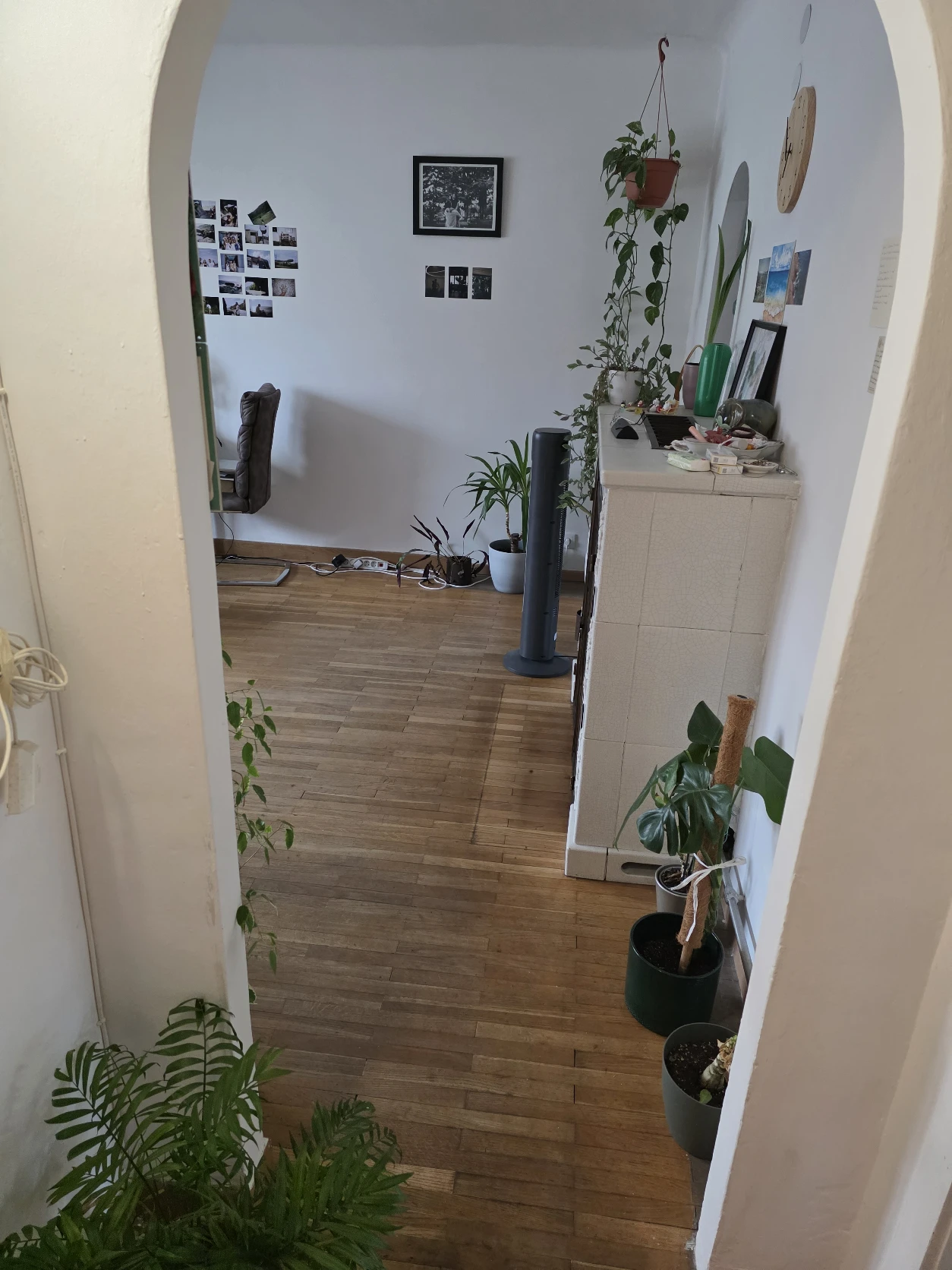 image-19