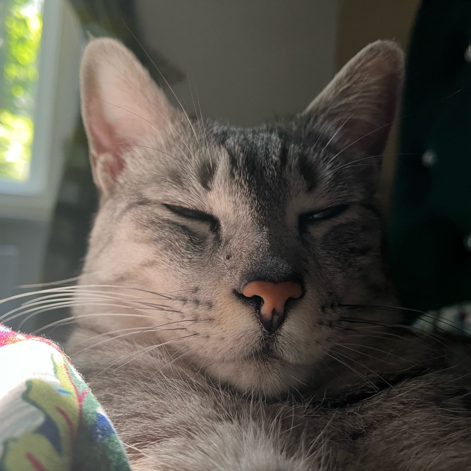 Oliver
