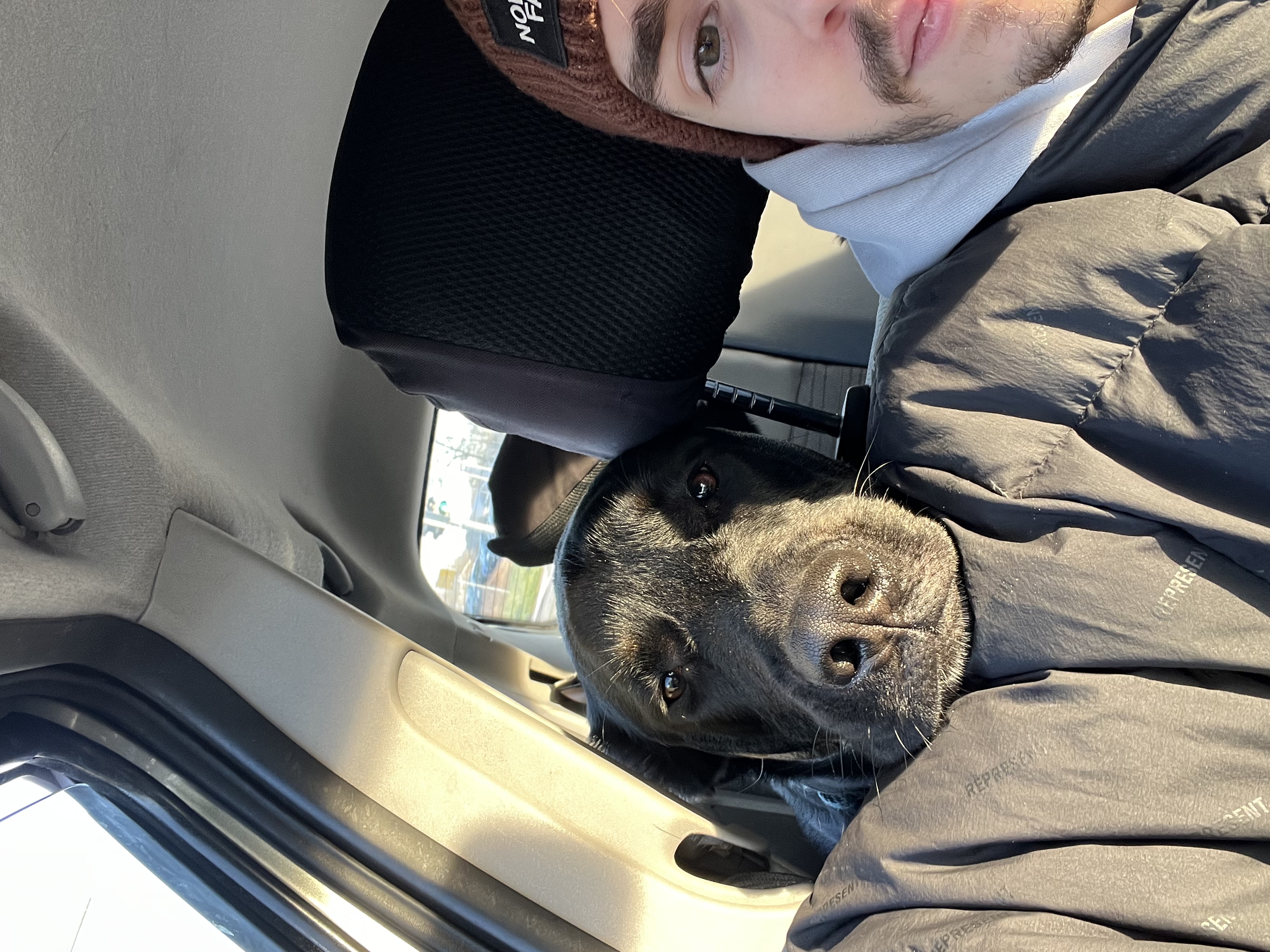 image-6