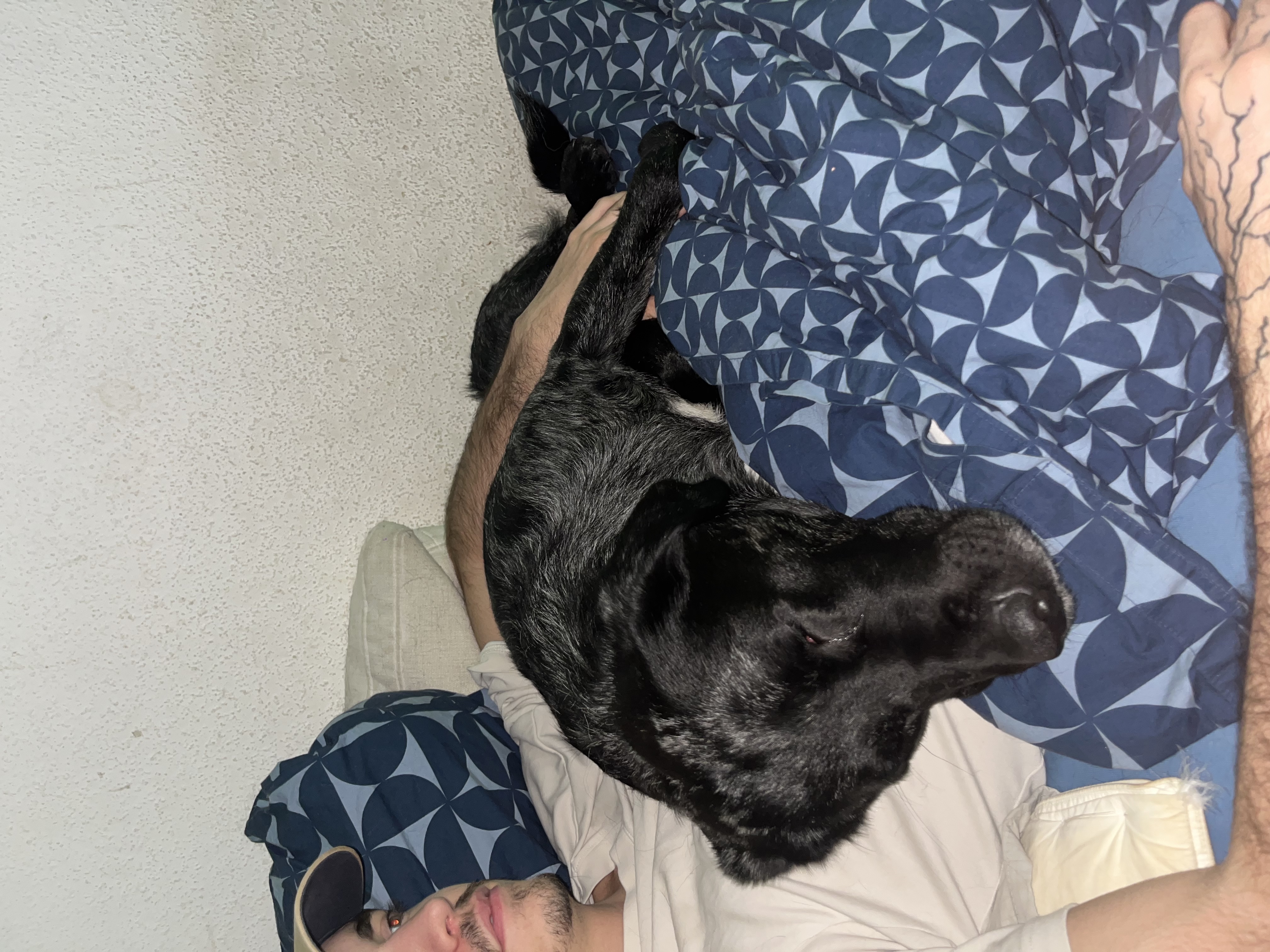 image-5