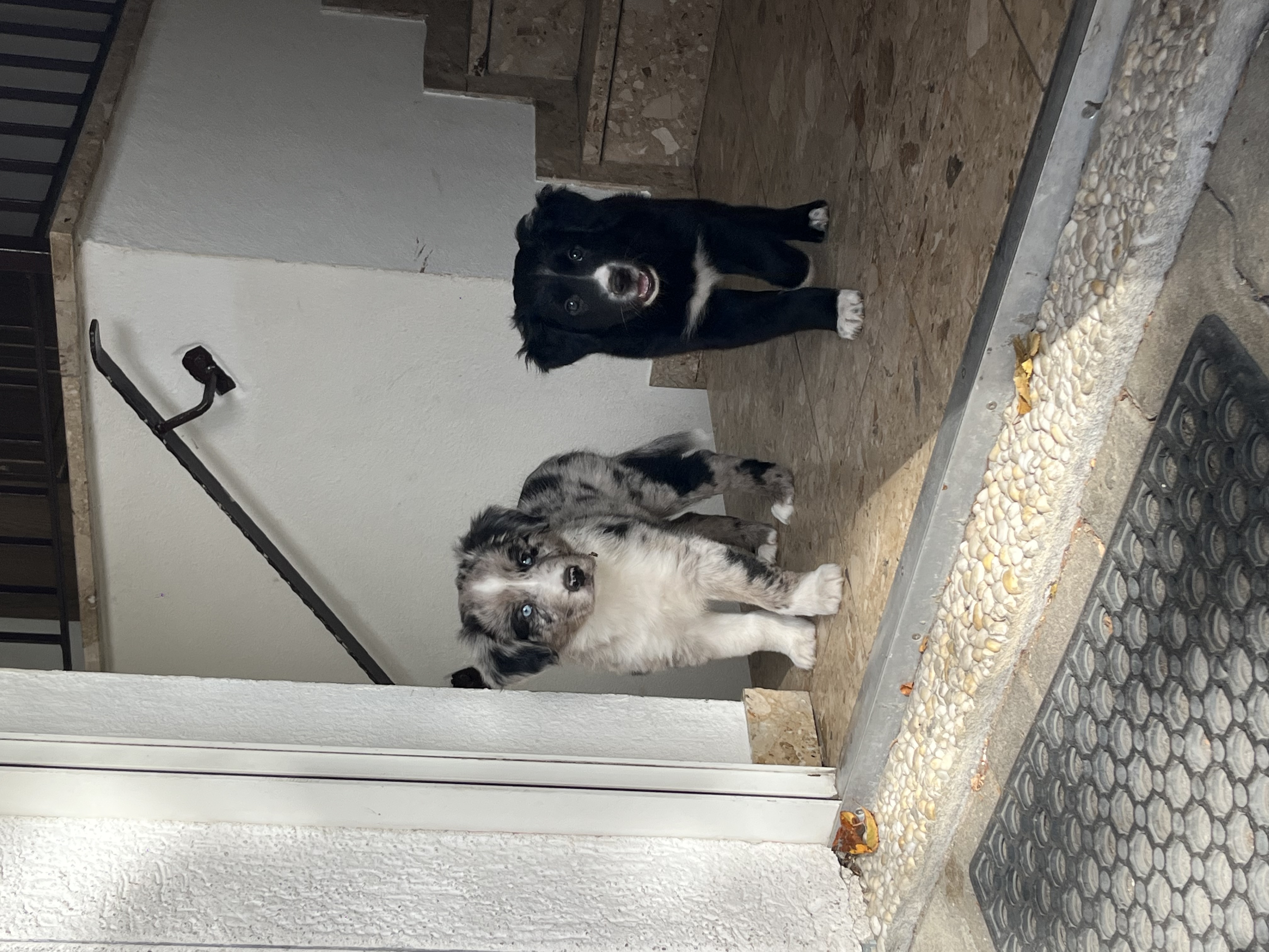 image-15