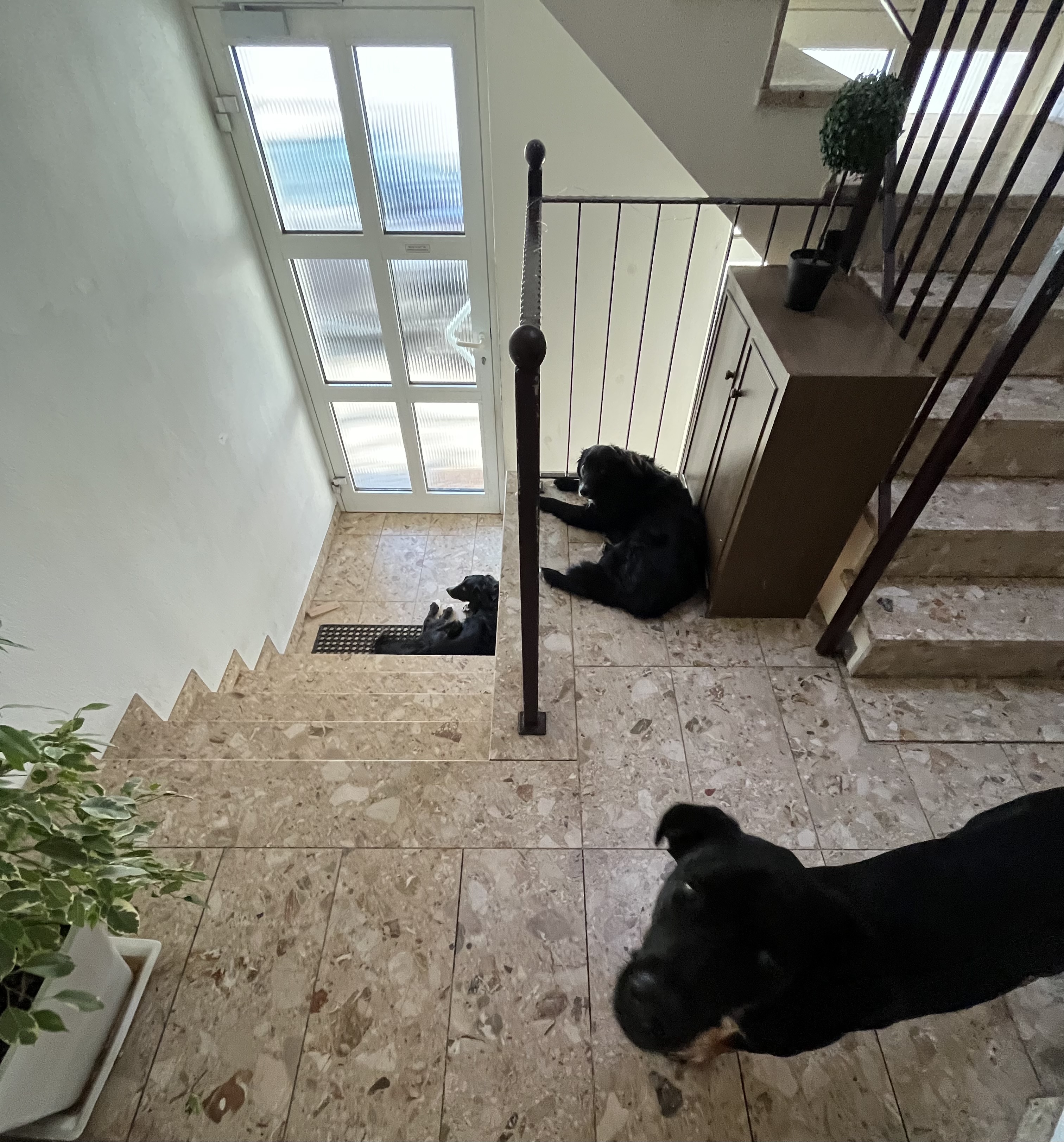 image-13
