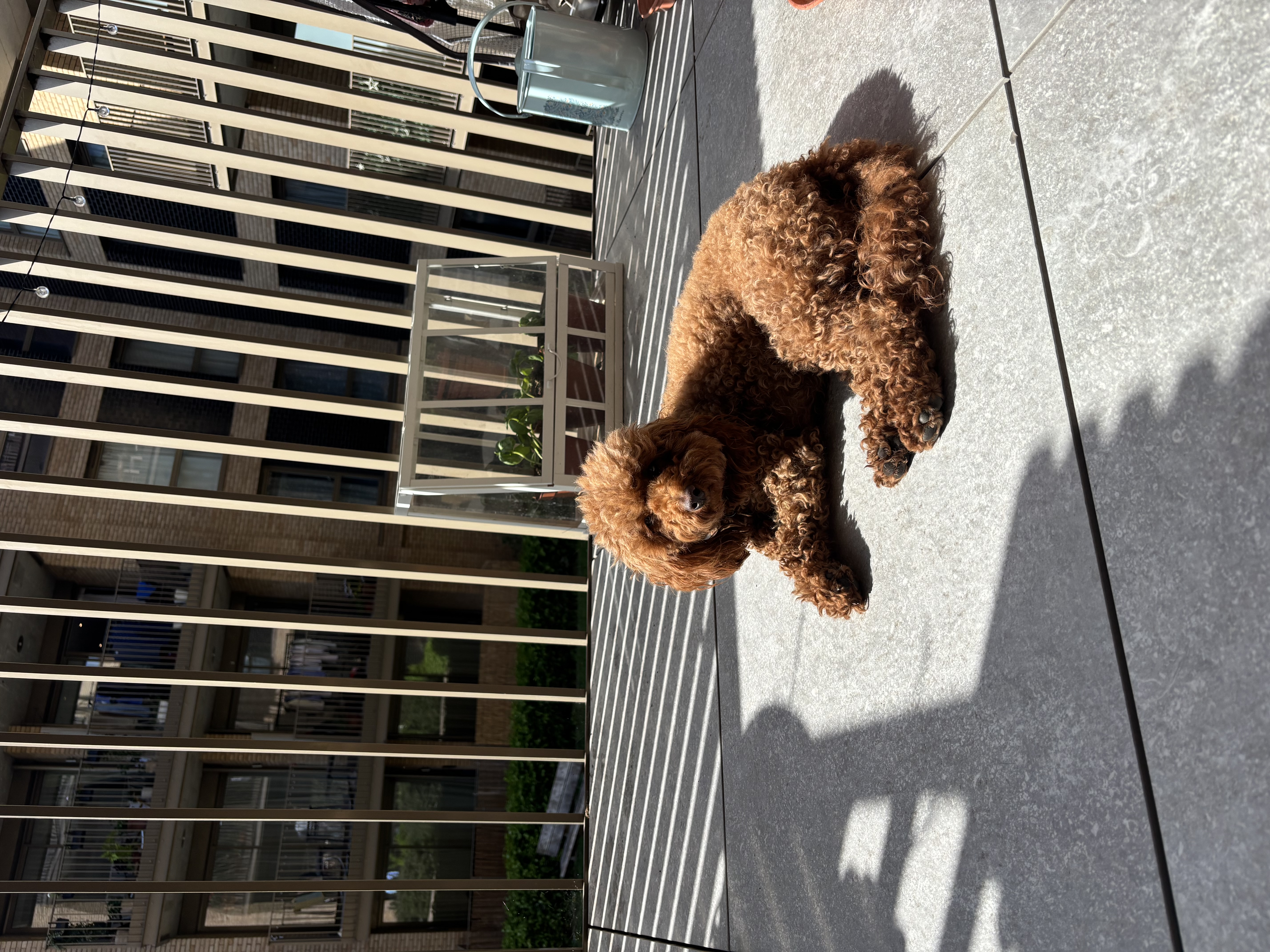 image-16