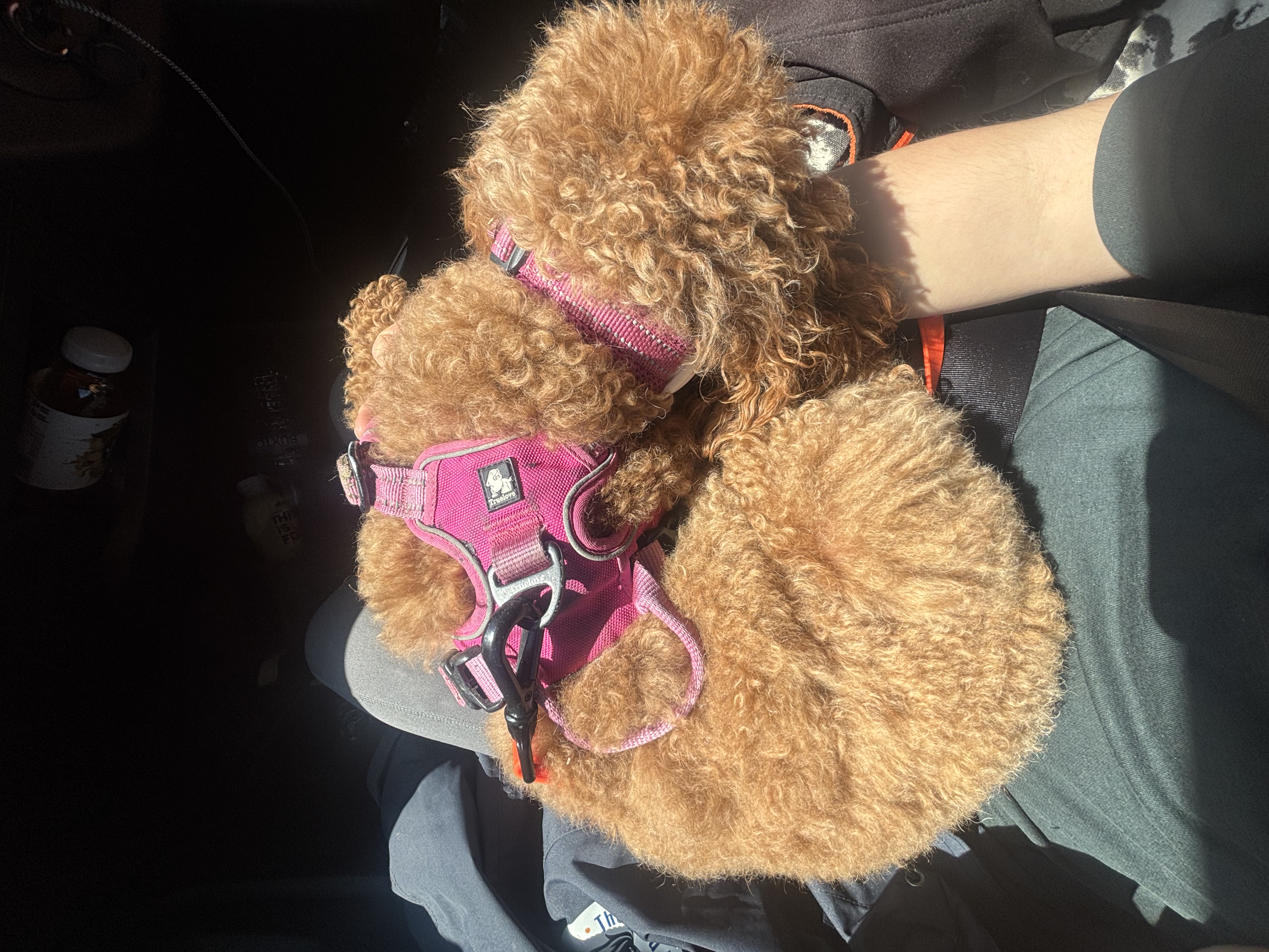 image-8
