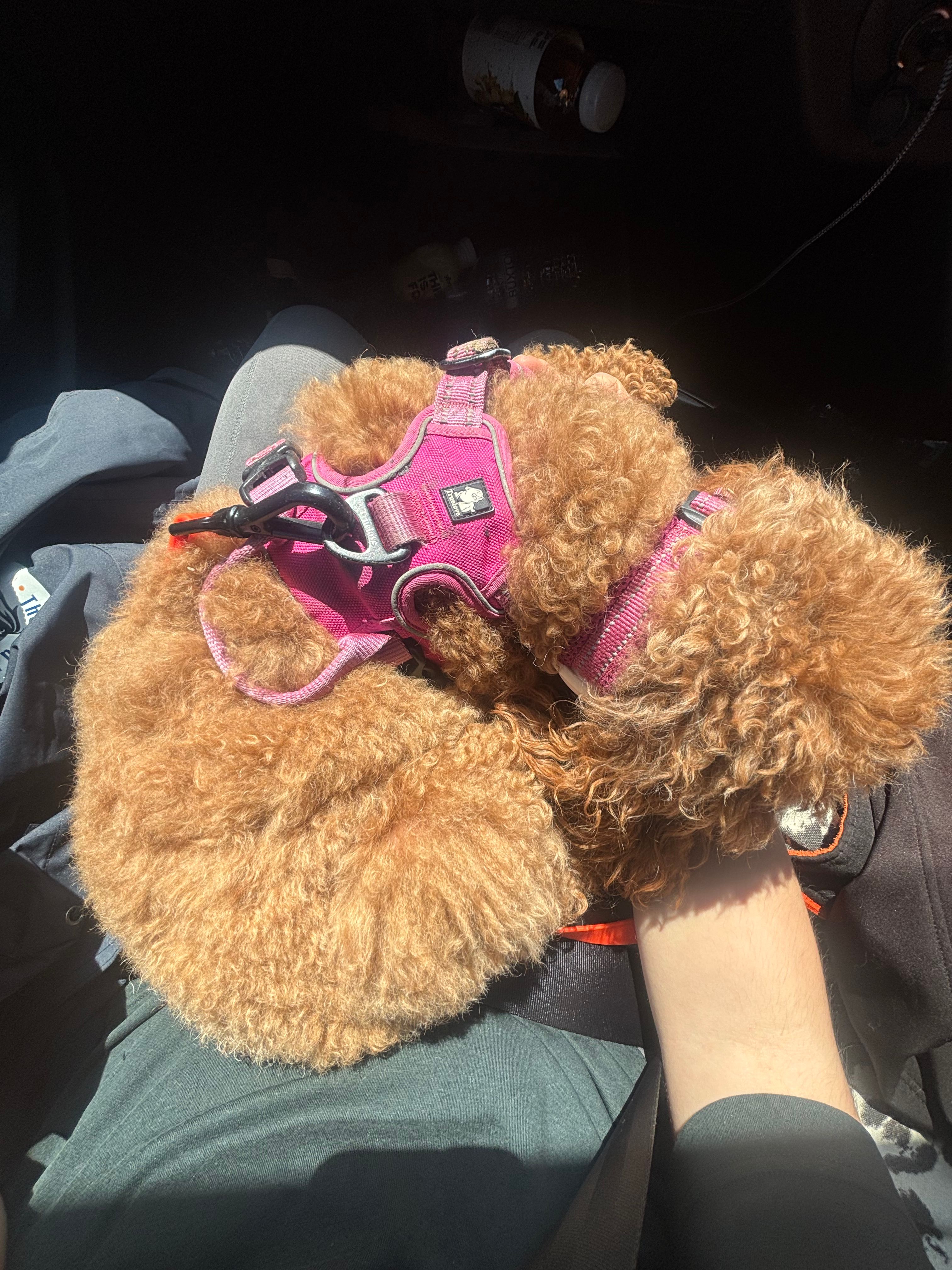 image-8