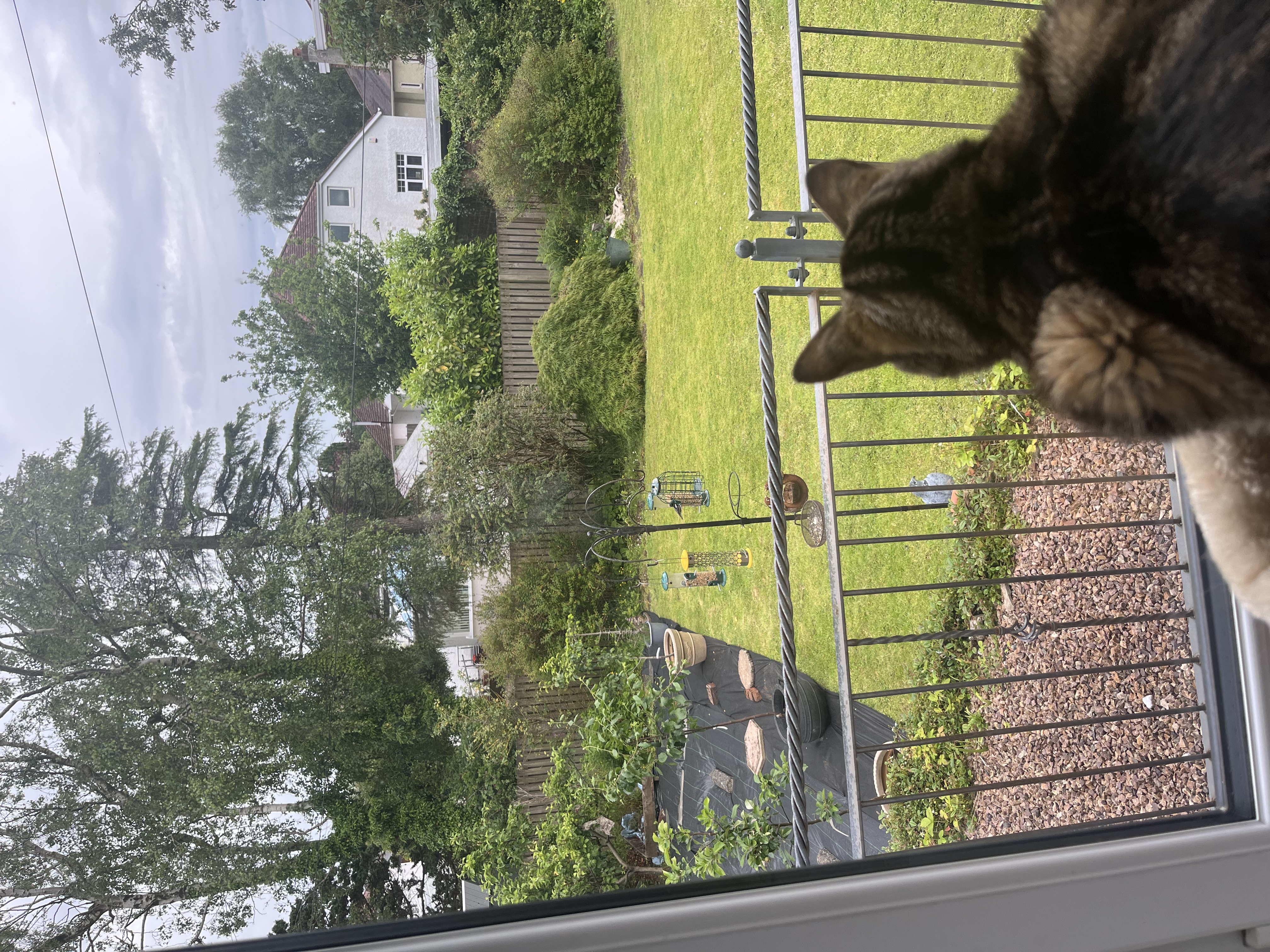 image-16
