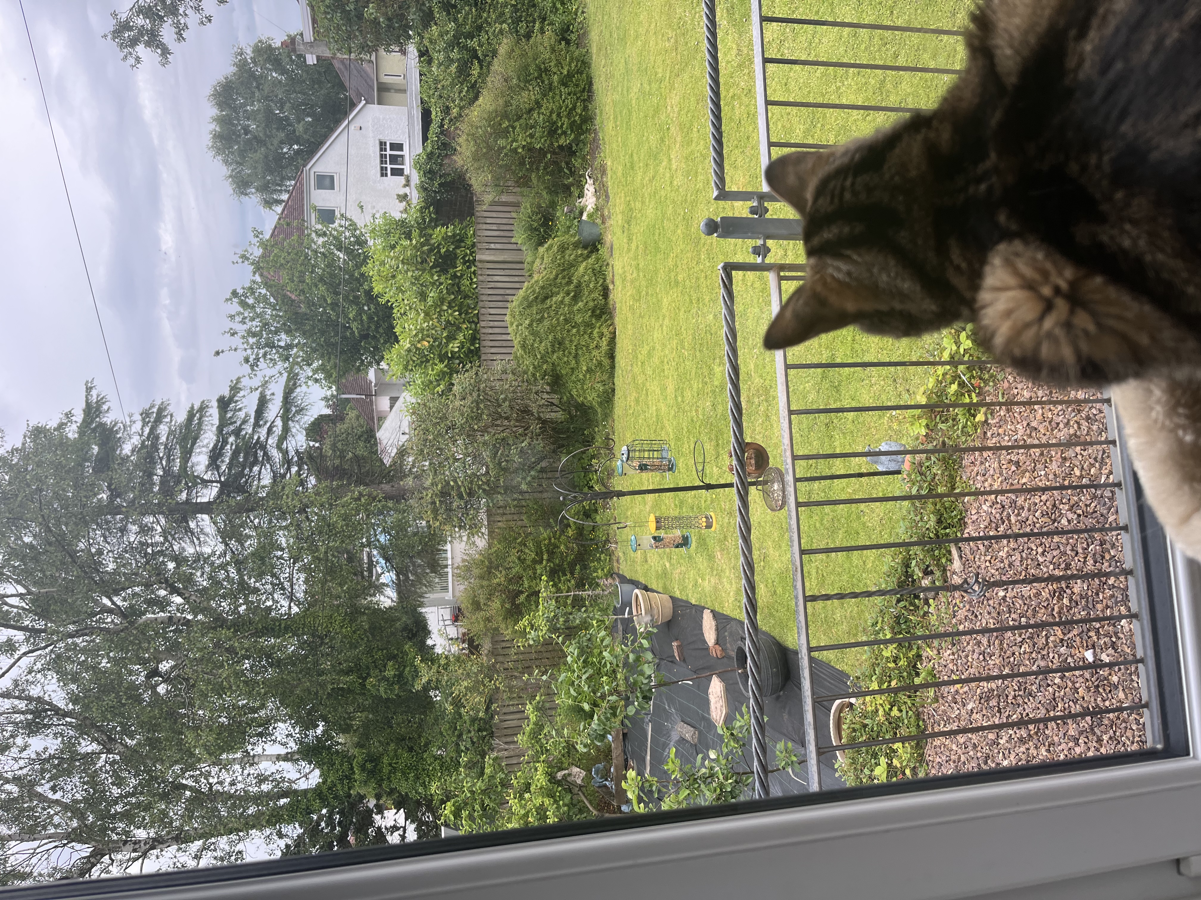 image-15