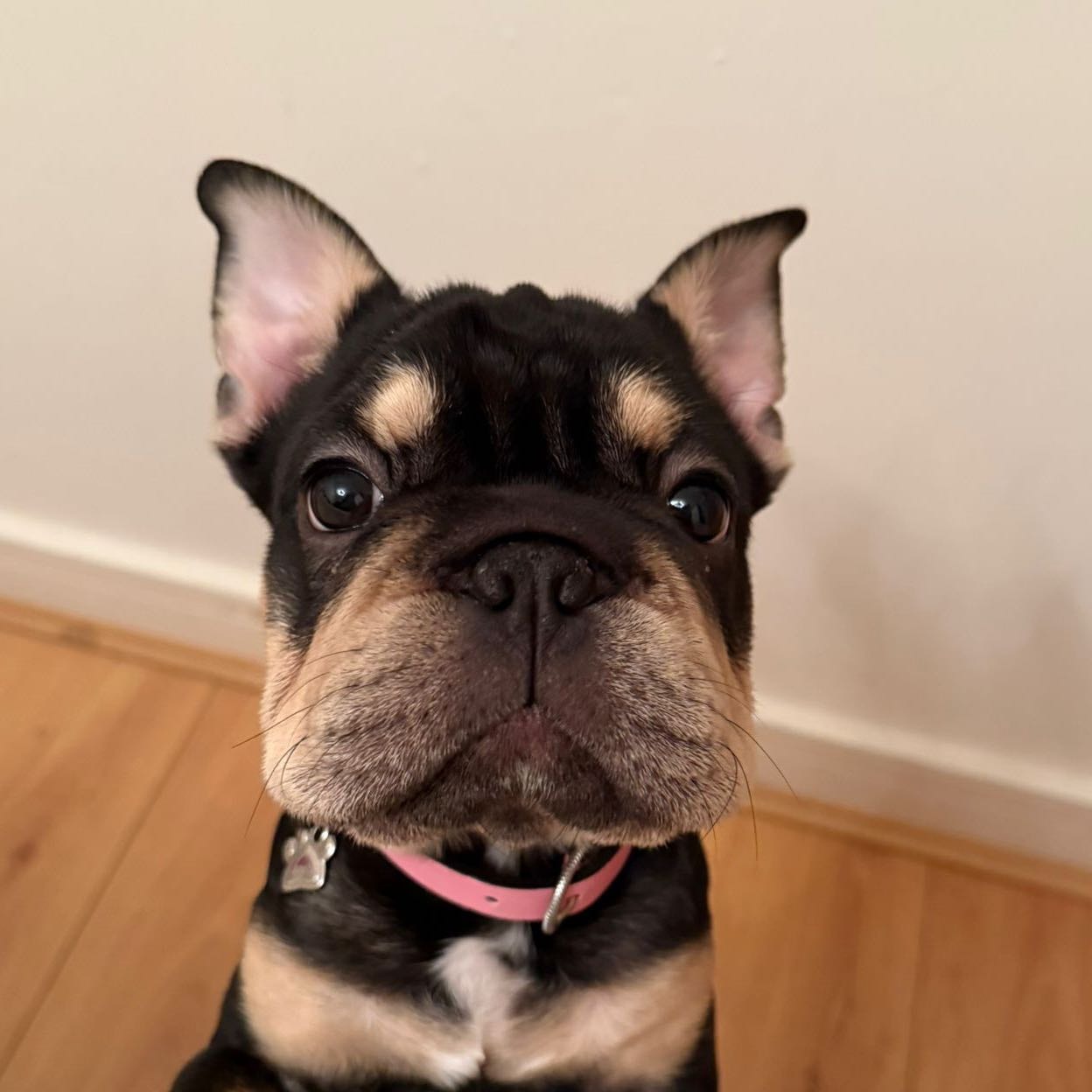 Janet