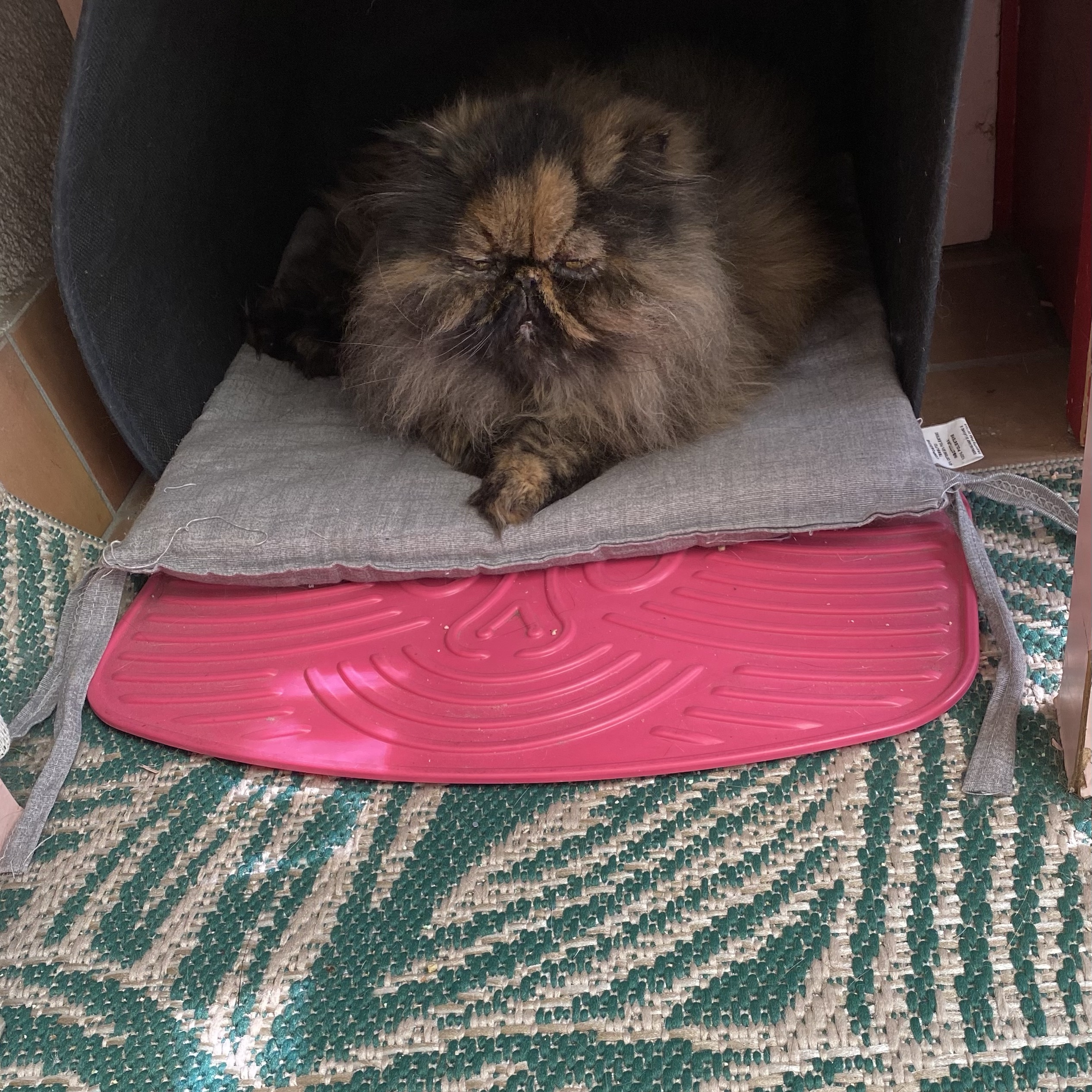 Milù 