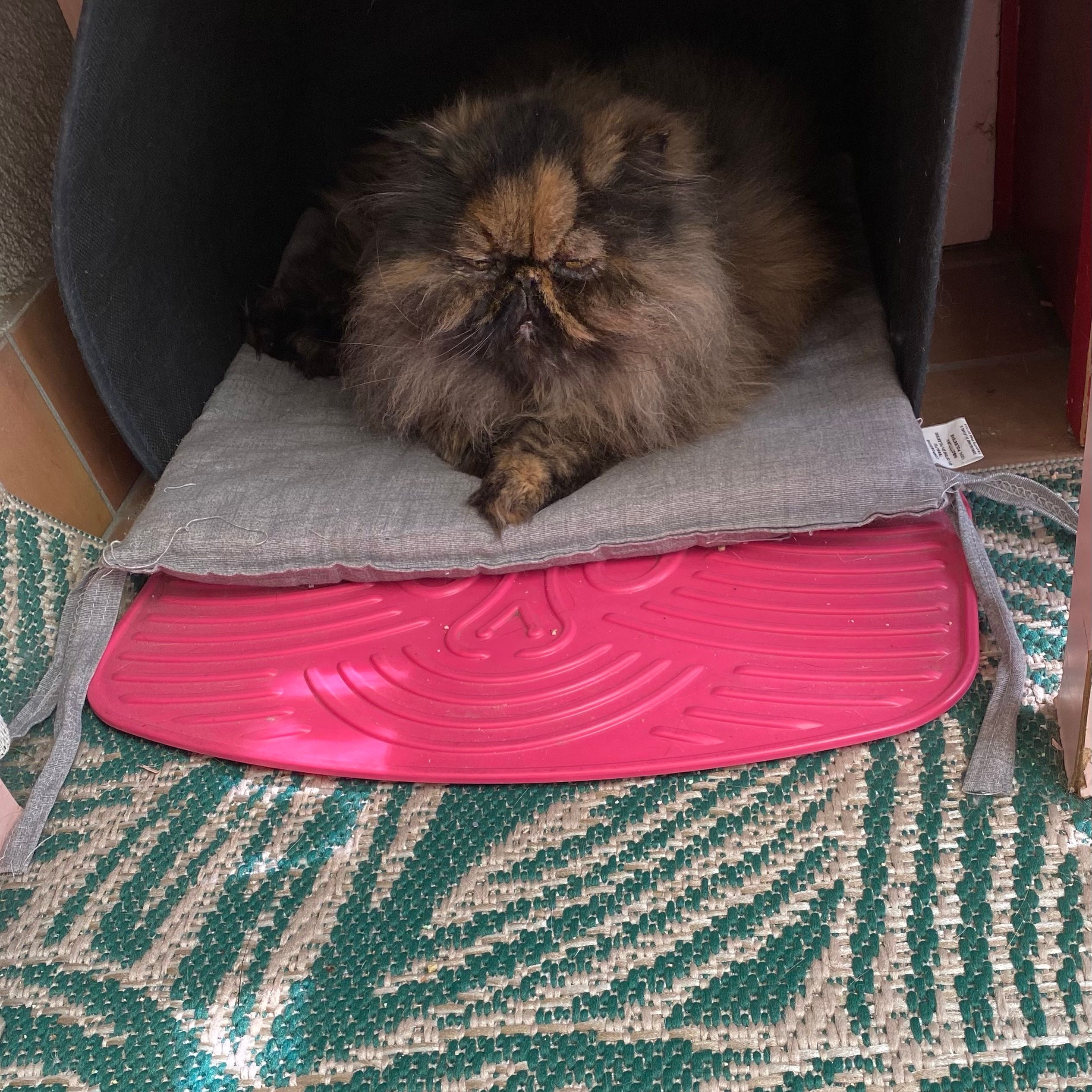 Milù