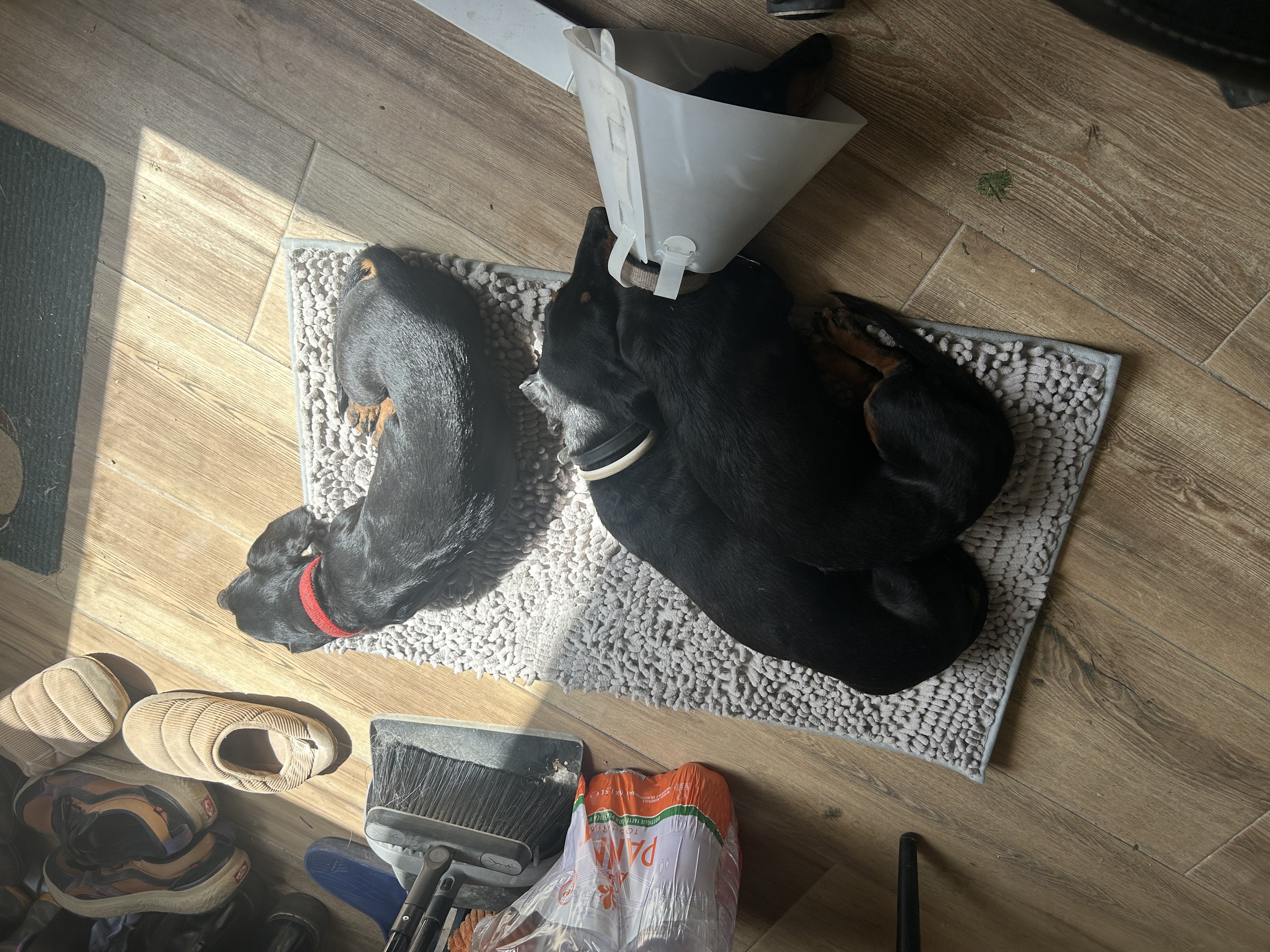 image-17