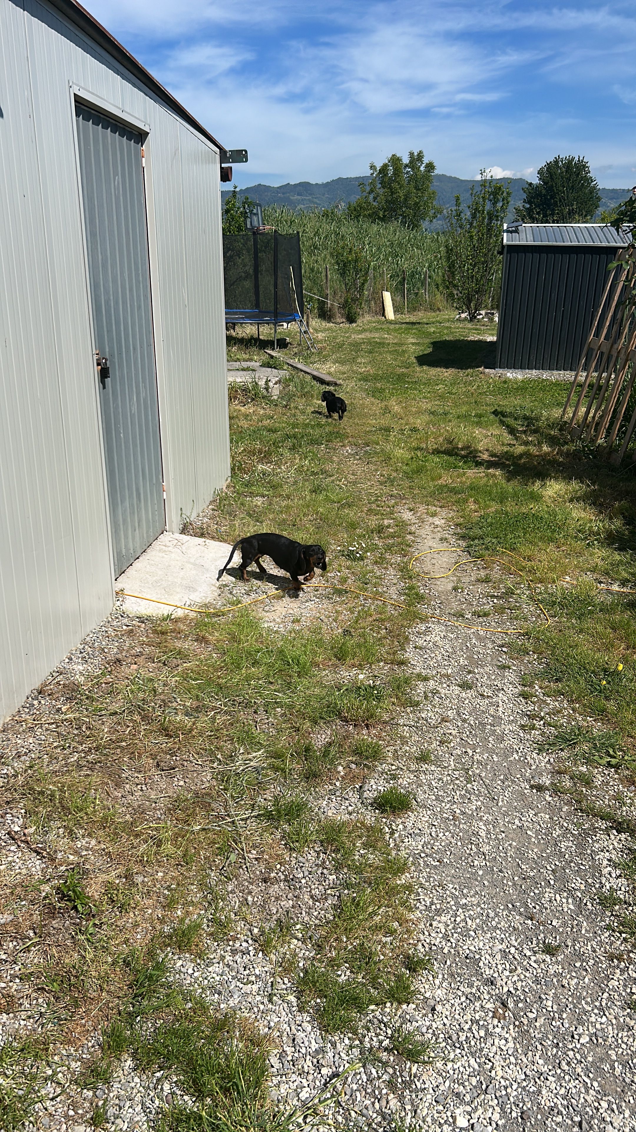image-13
