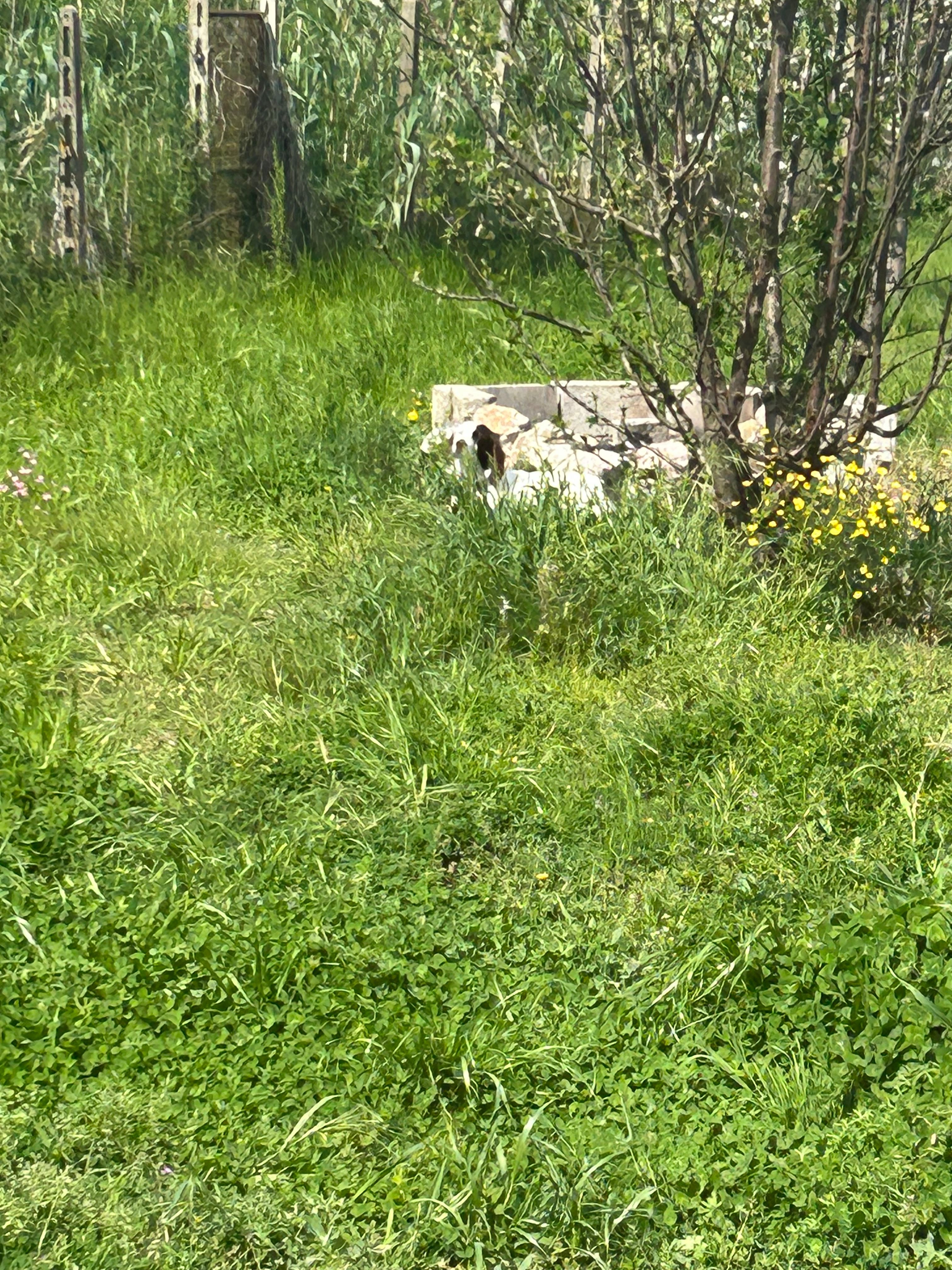 image-15