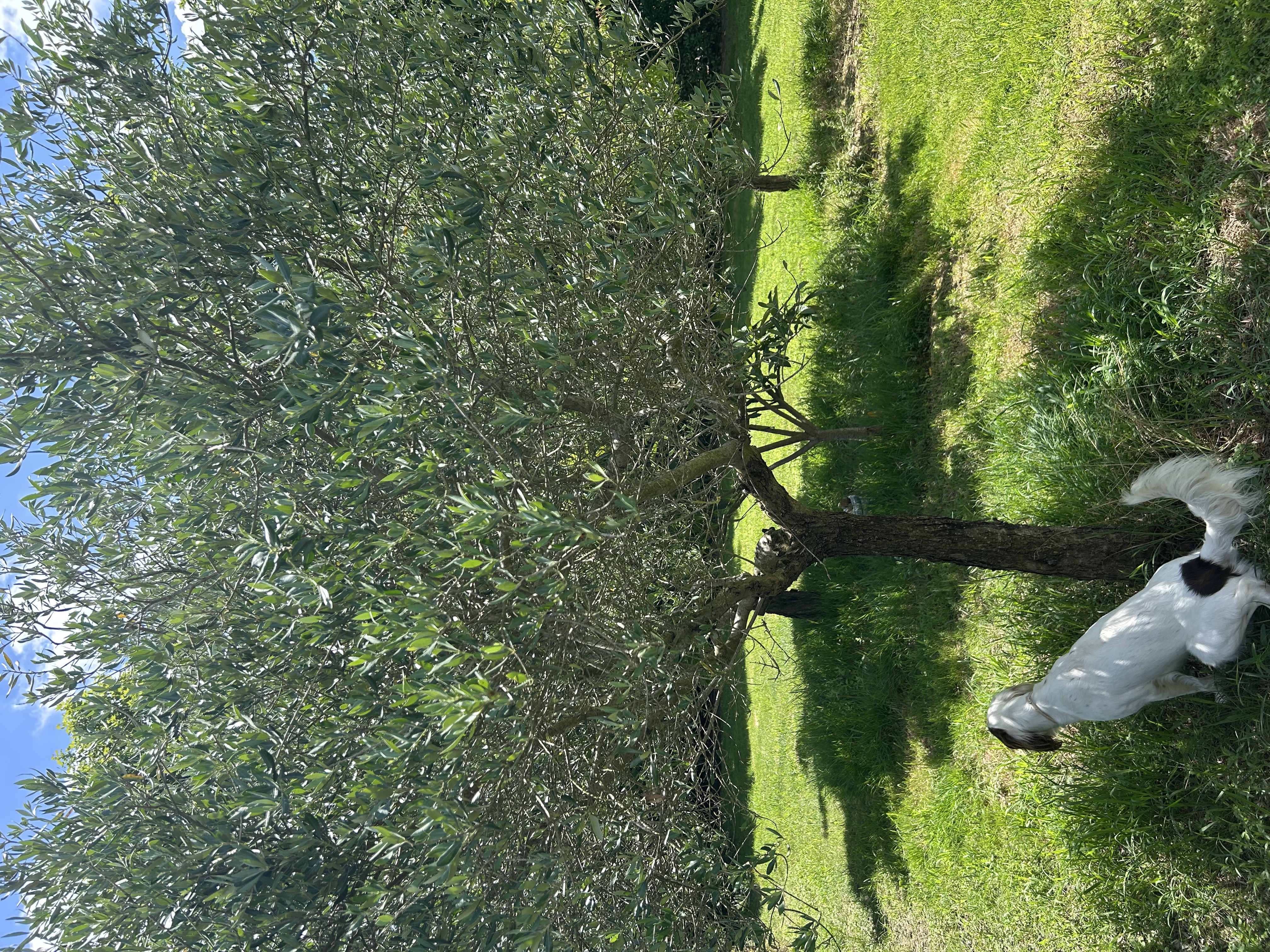 image-10