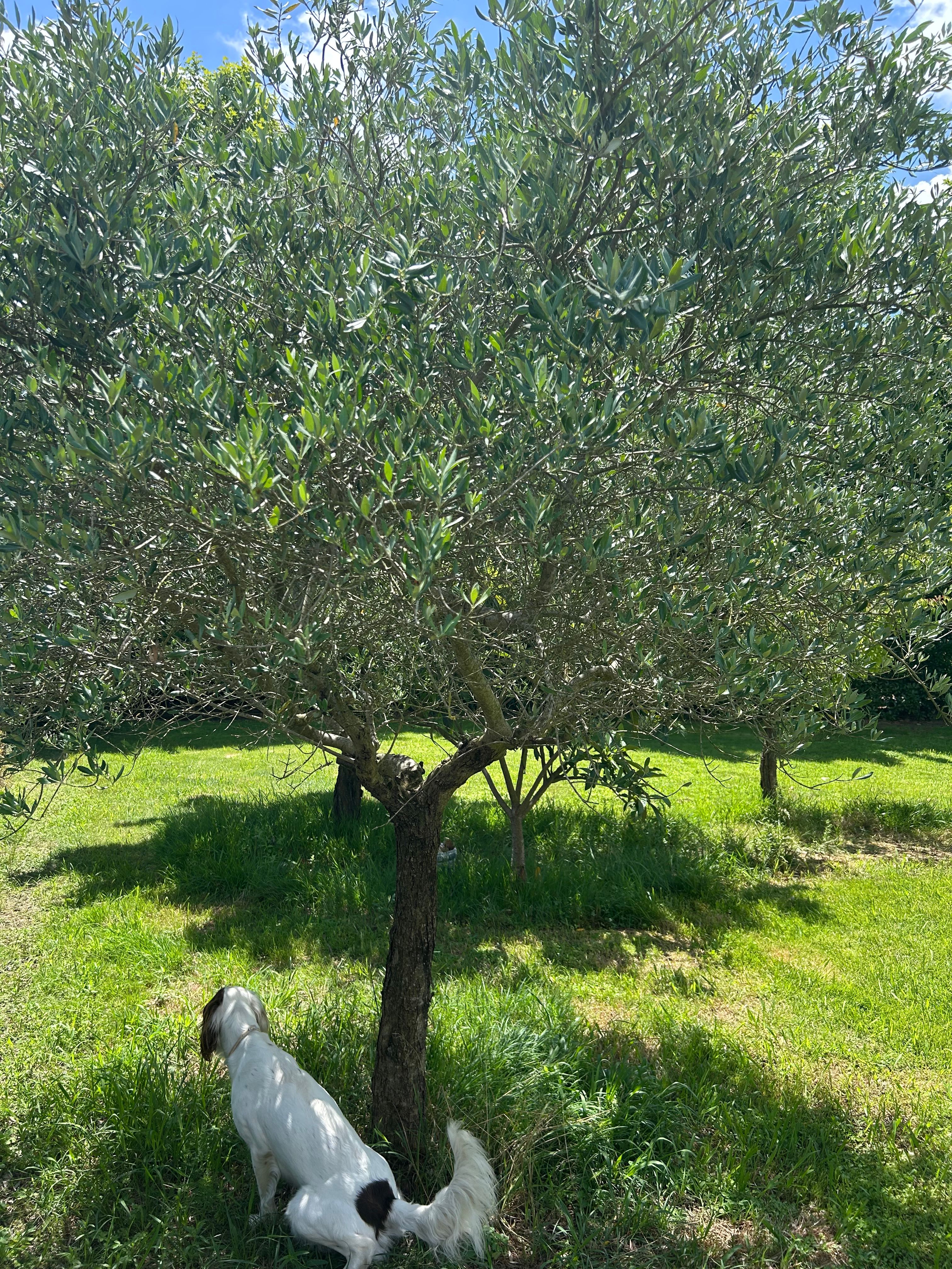 image-10