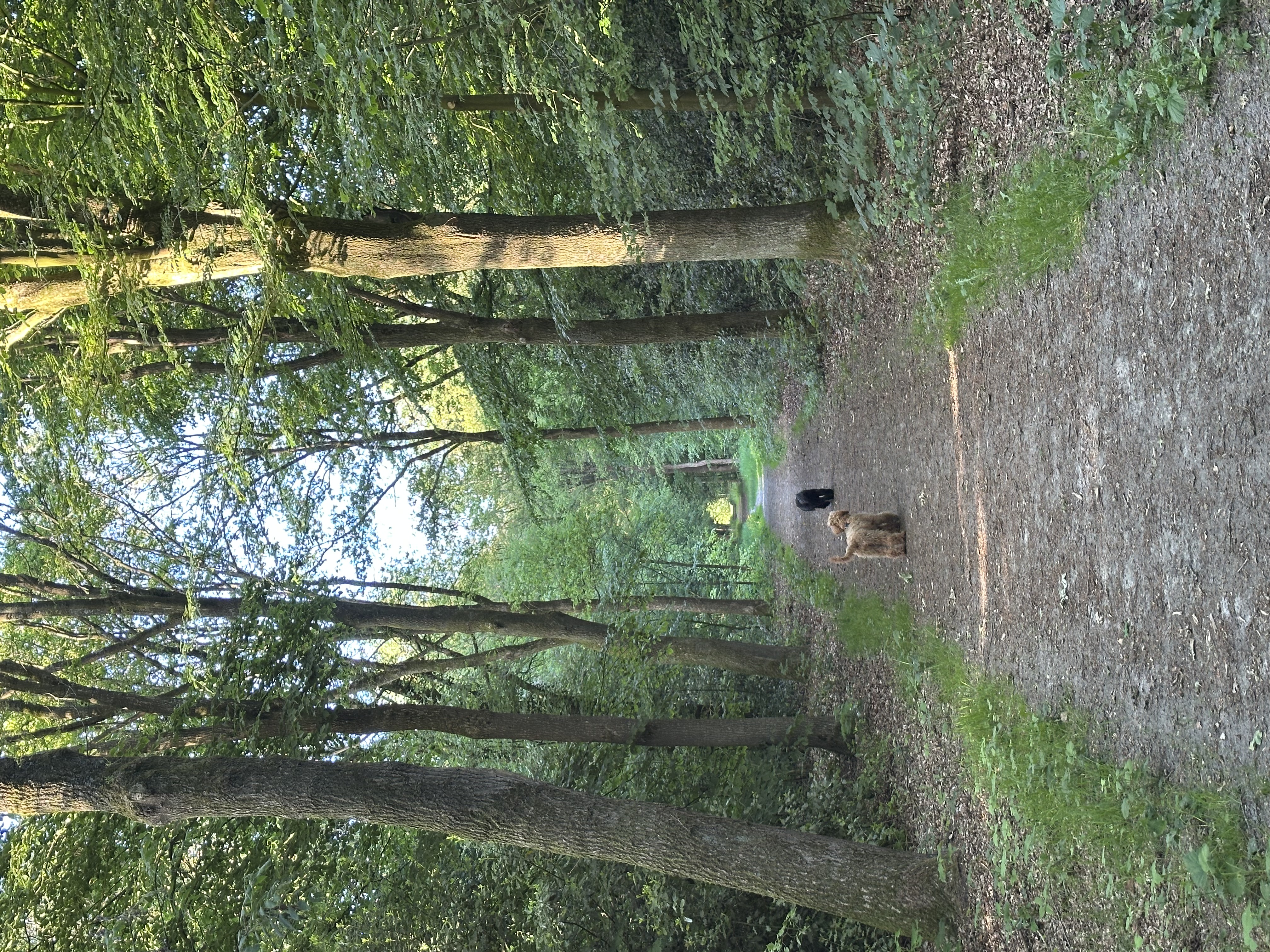 image-6