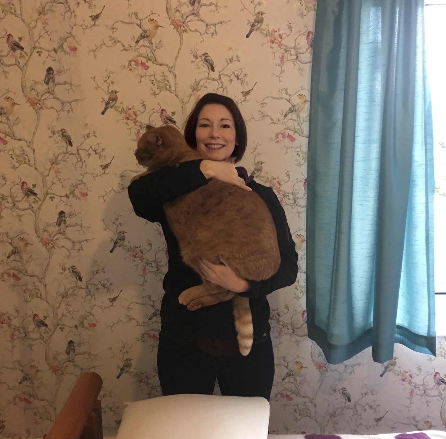 image-6