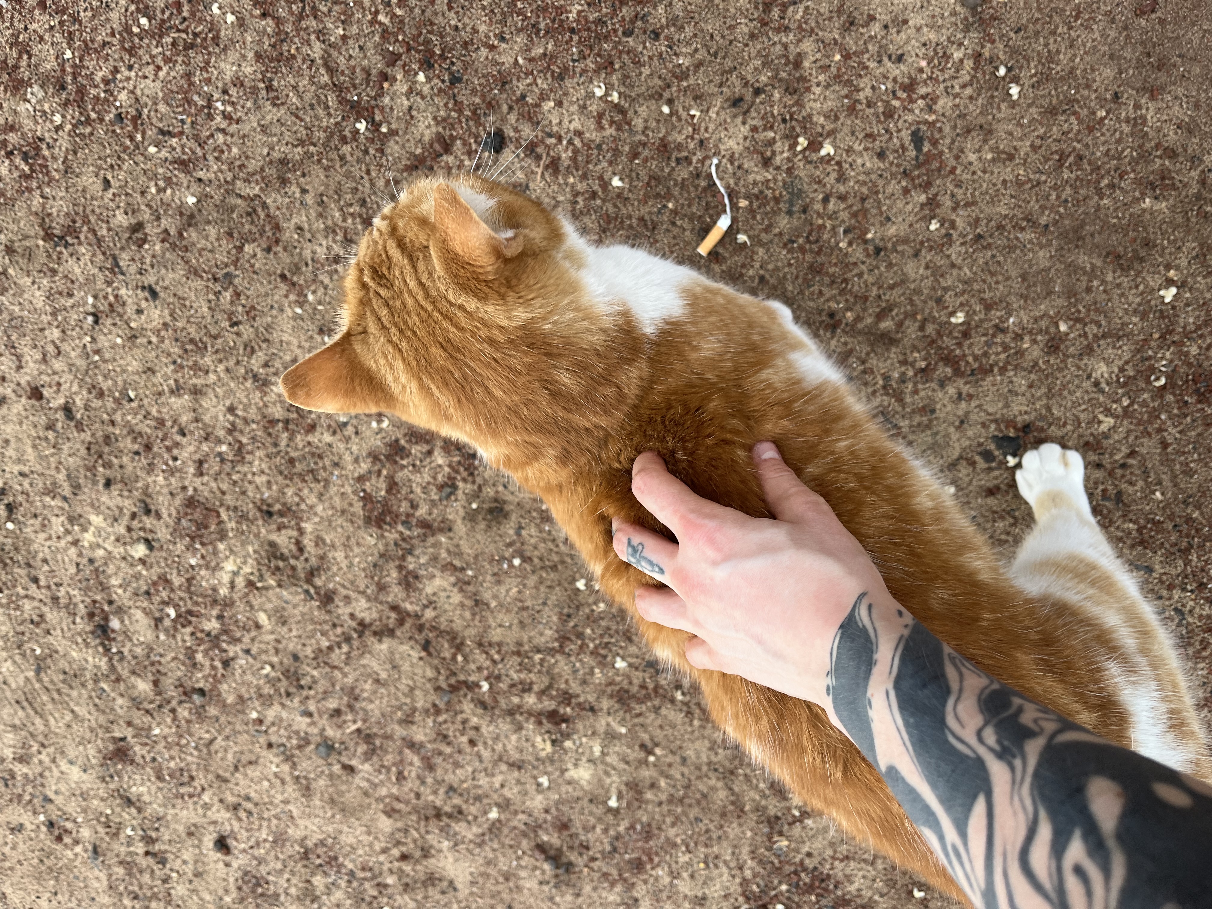 image-6