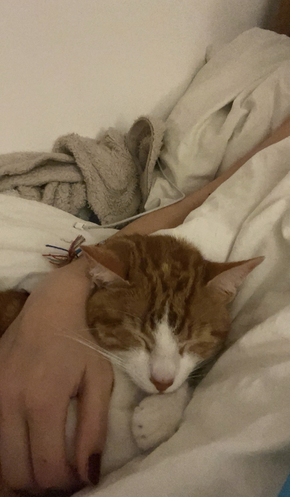 image-8