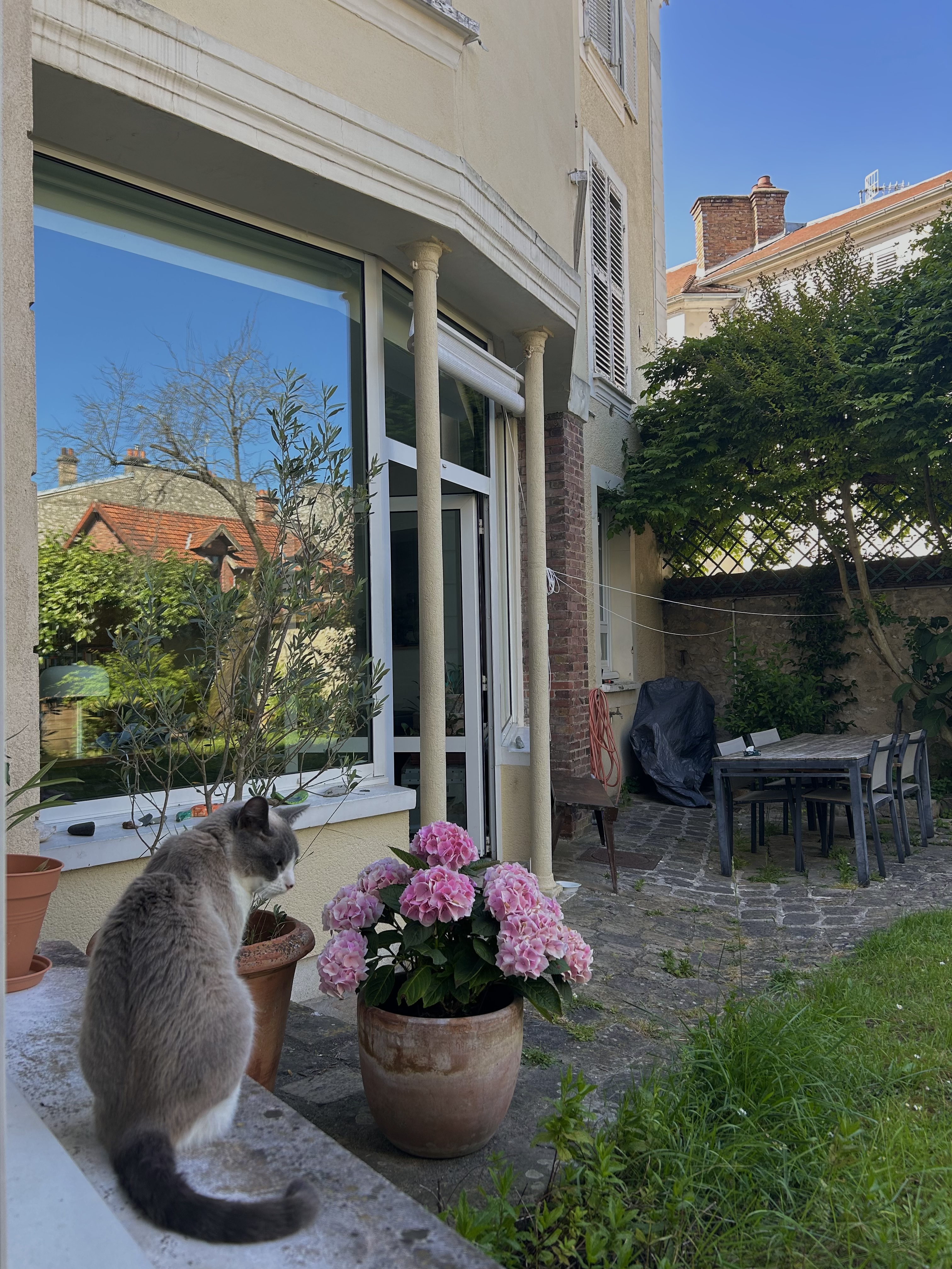 image-14