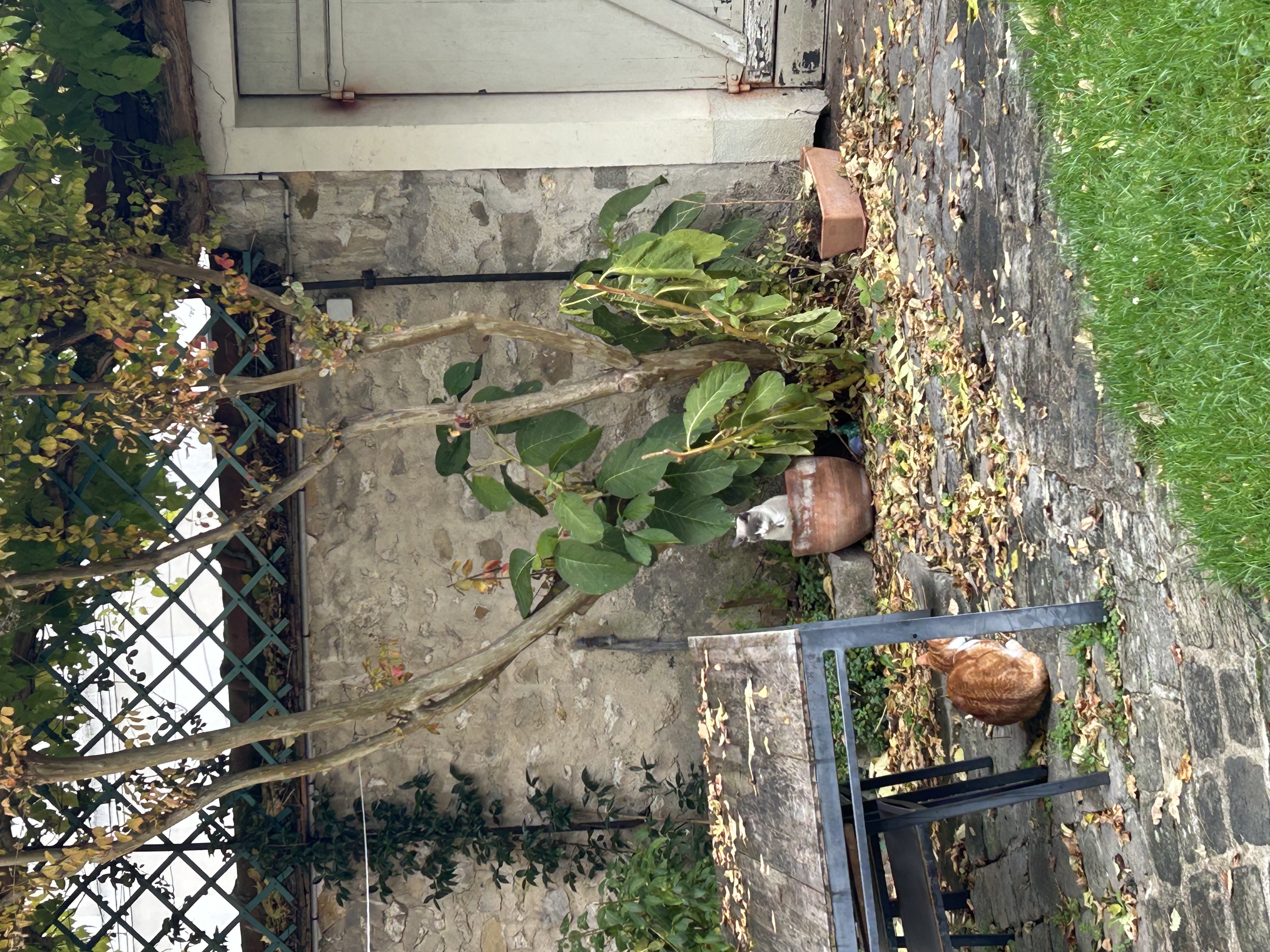 image-15