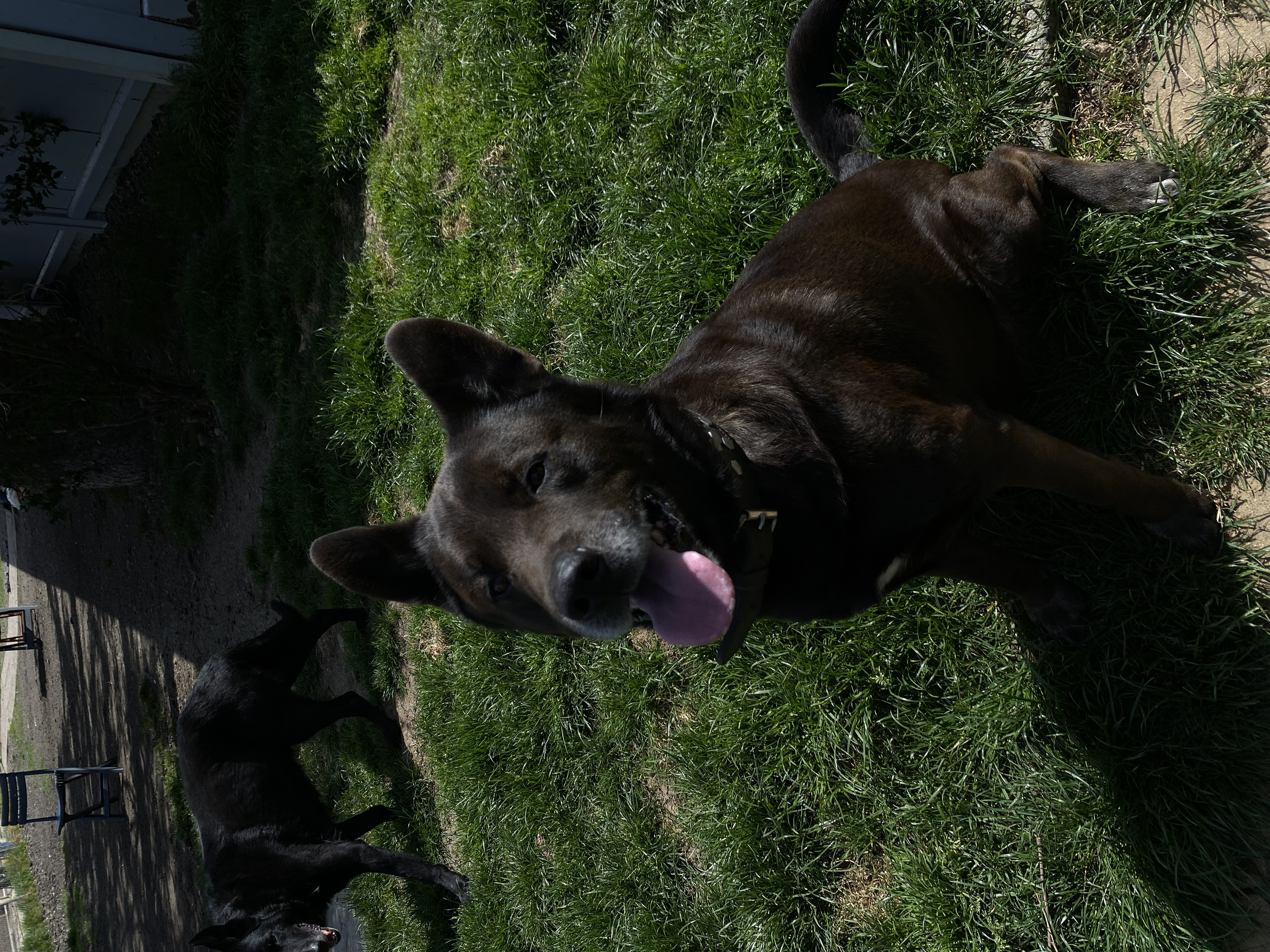 image-4
