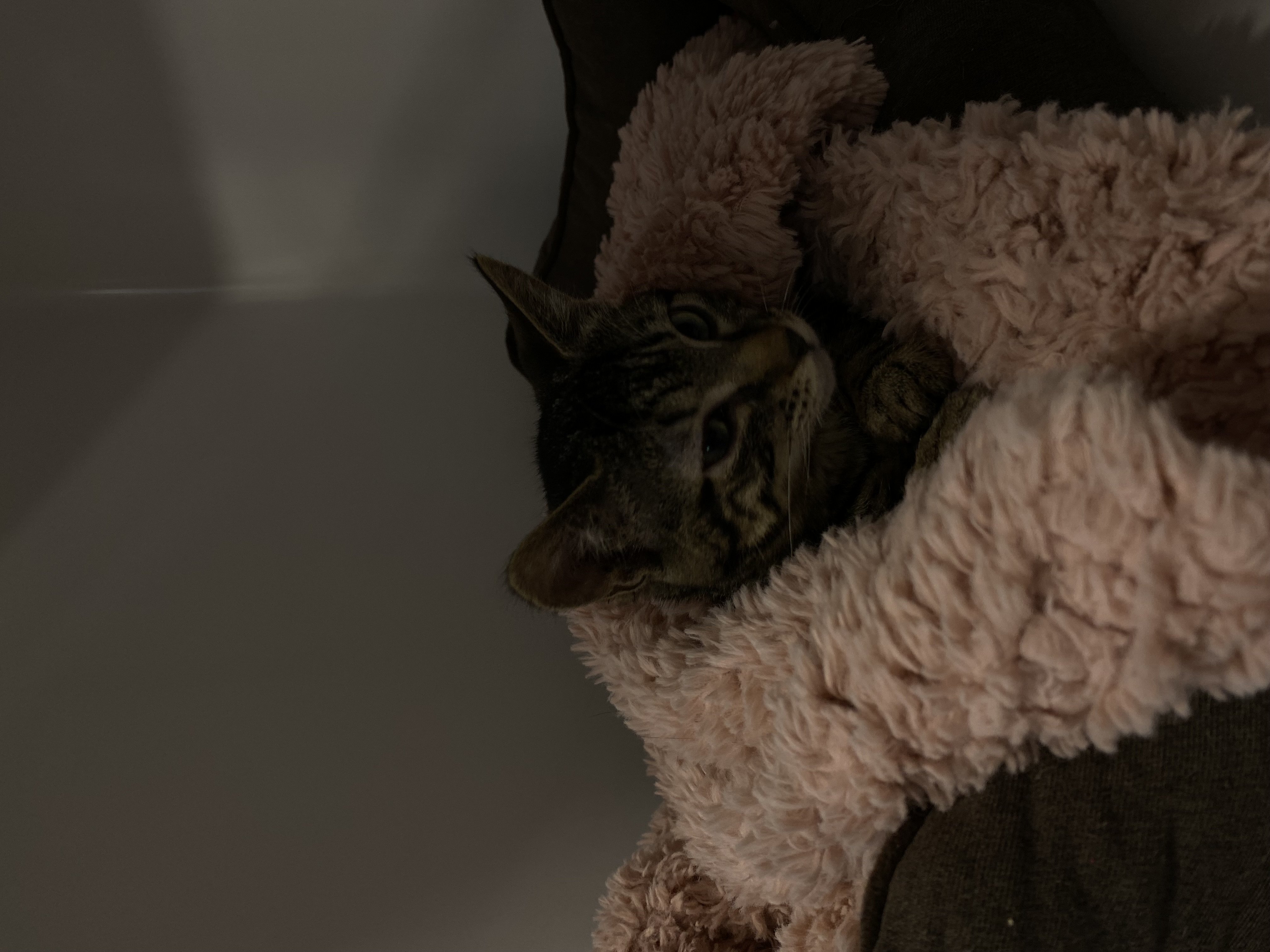 image-10