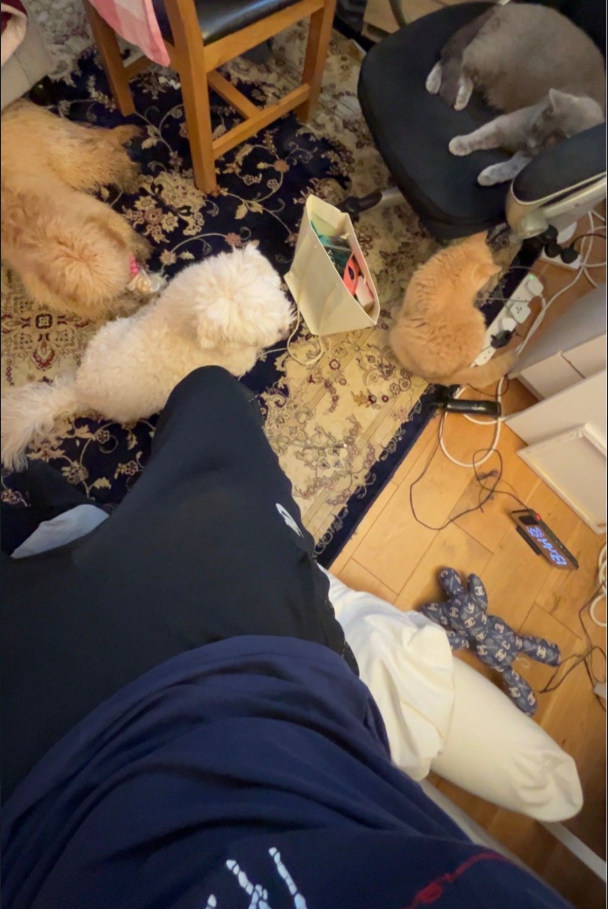 image-6
