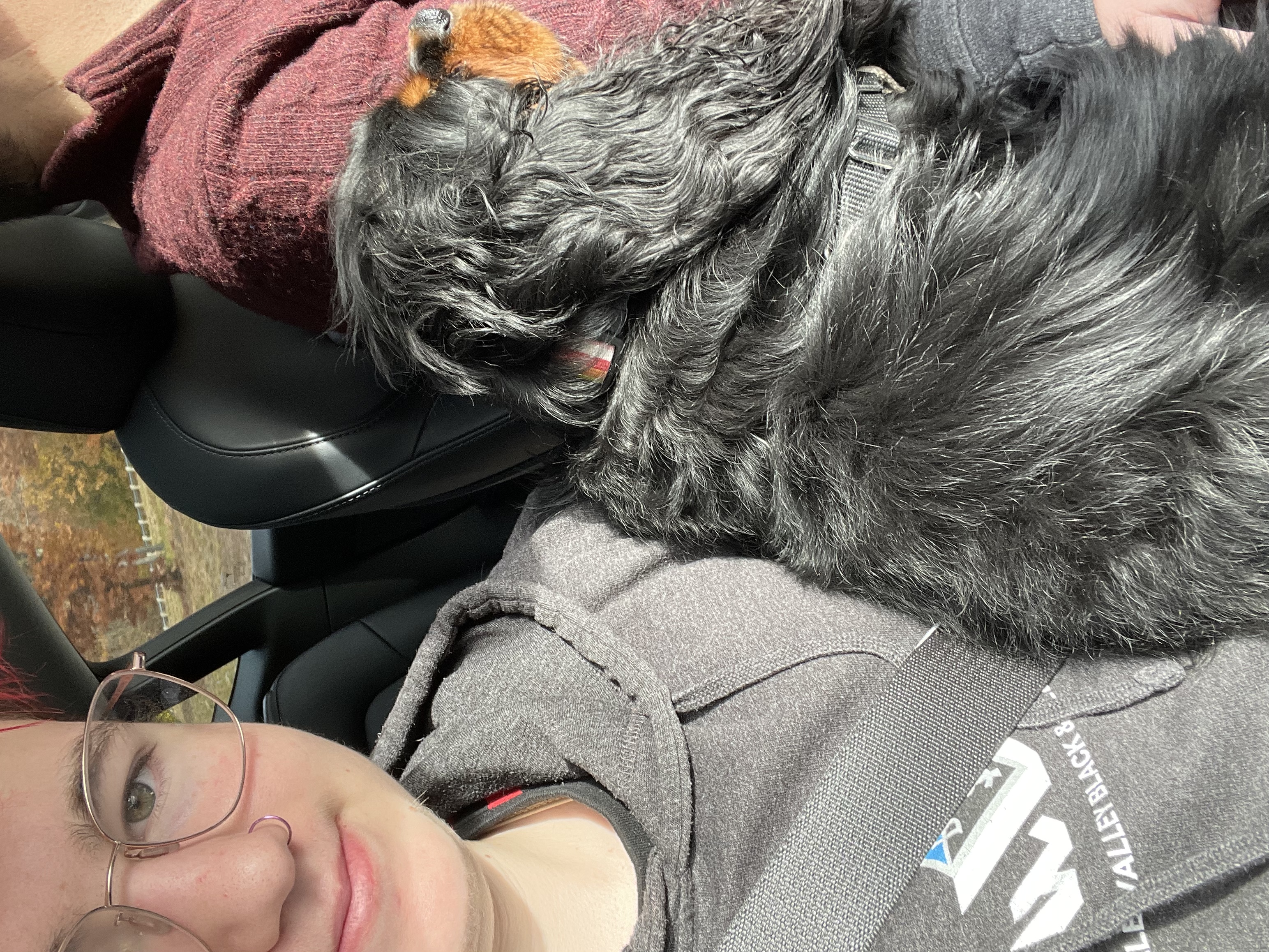 image-8