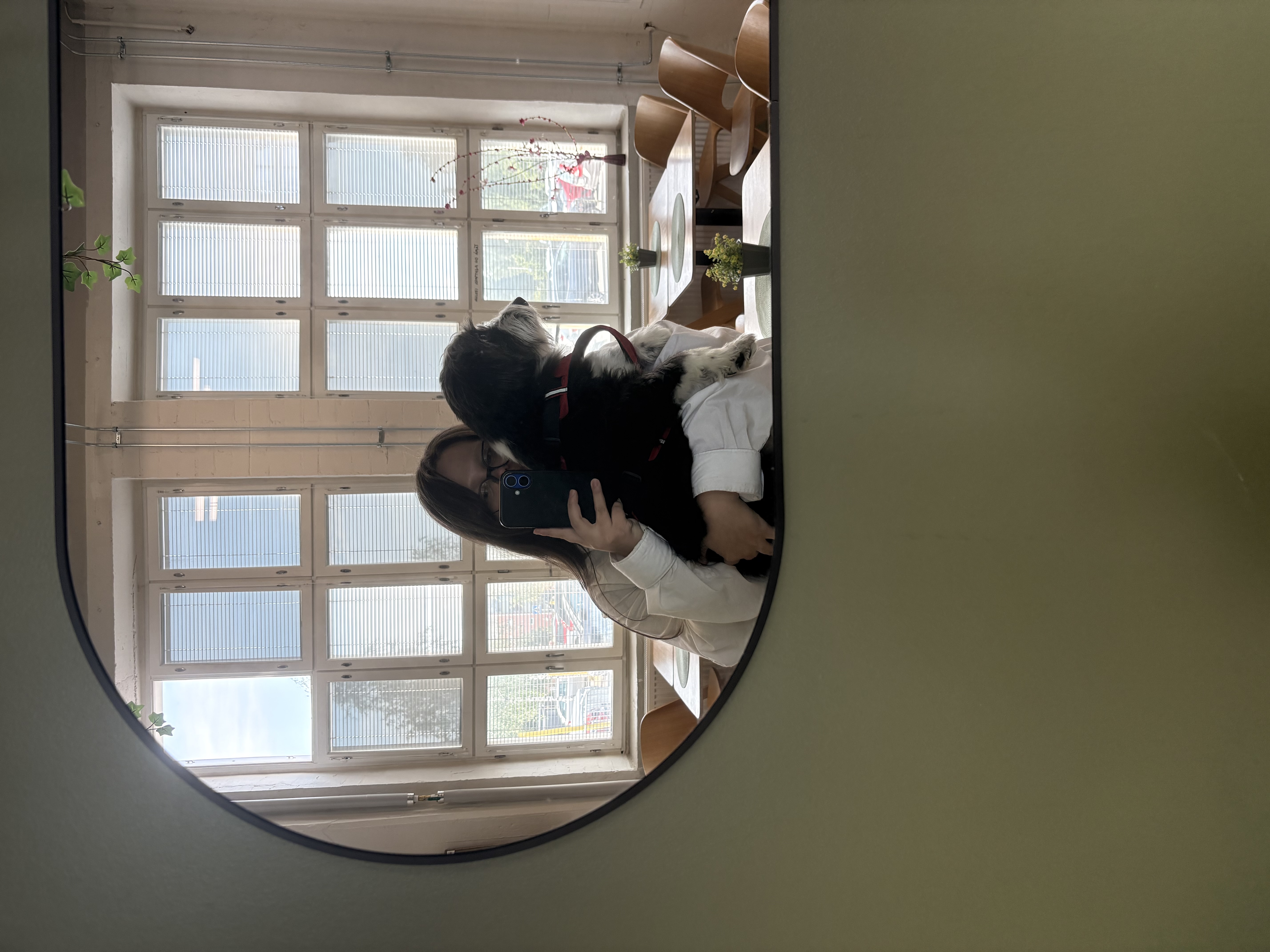 image-7