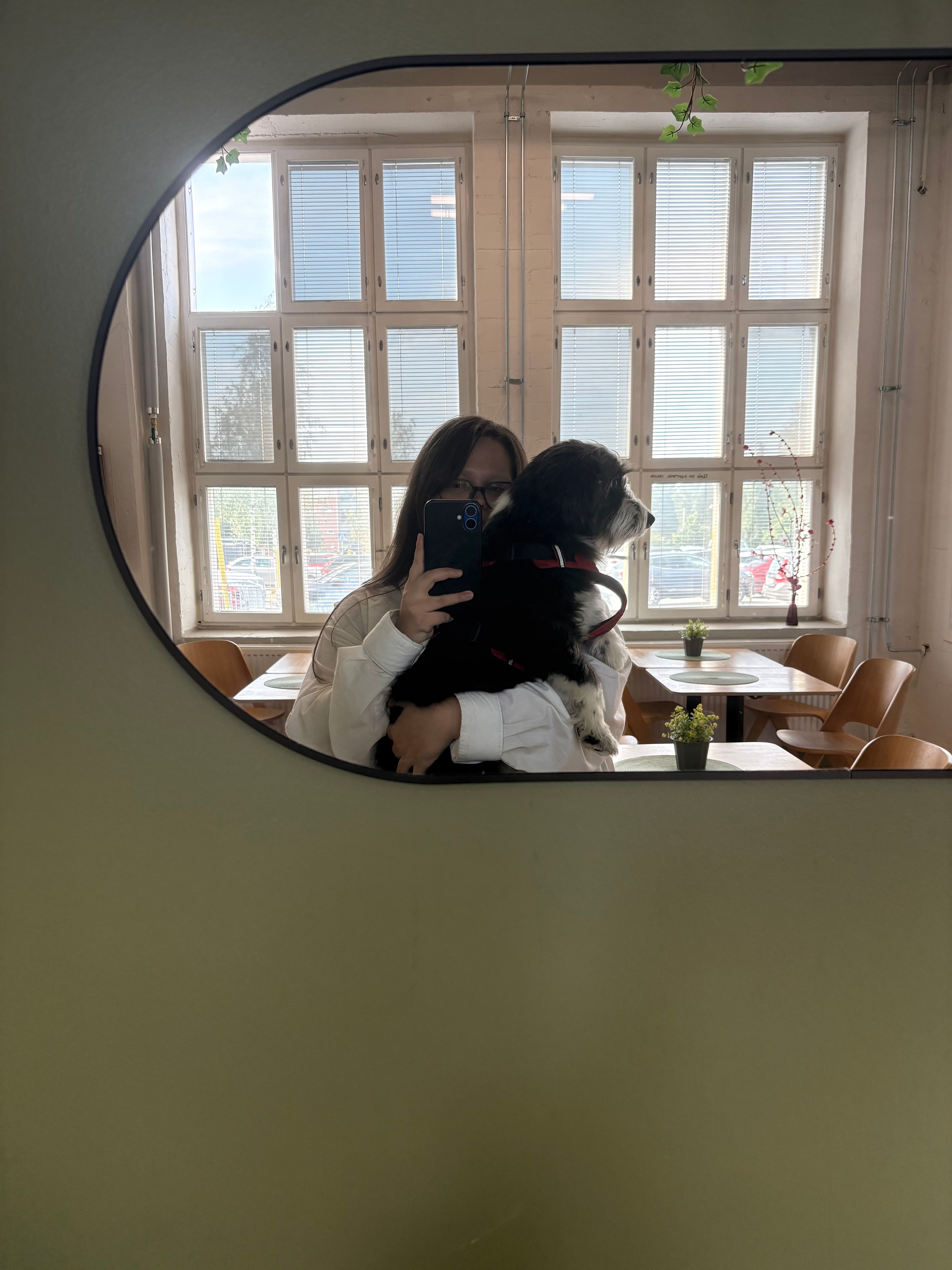 image-7
