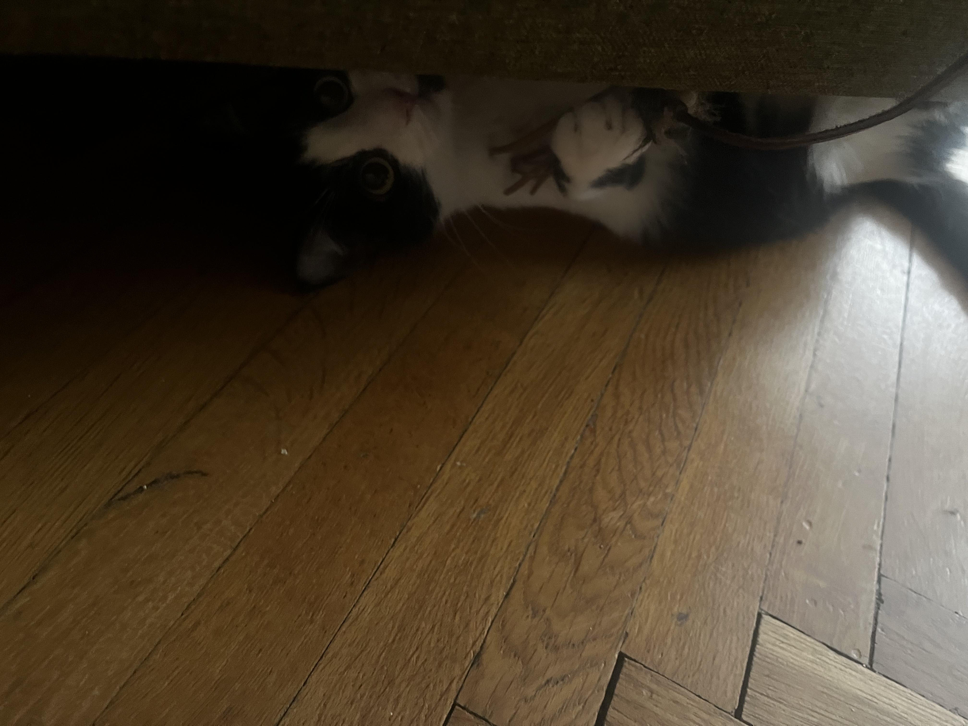 image-11